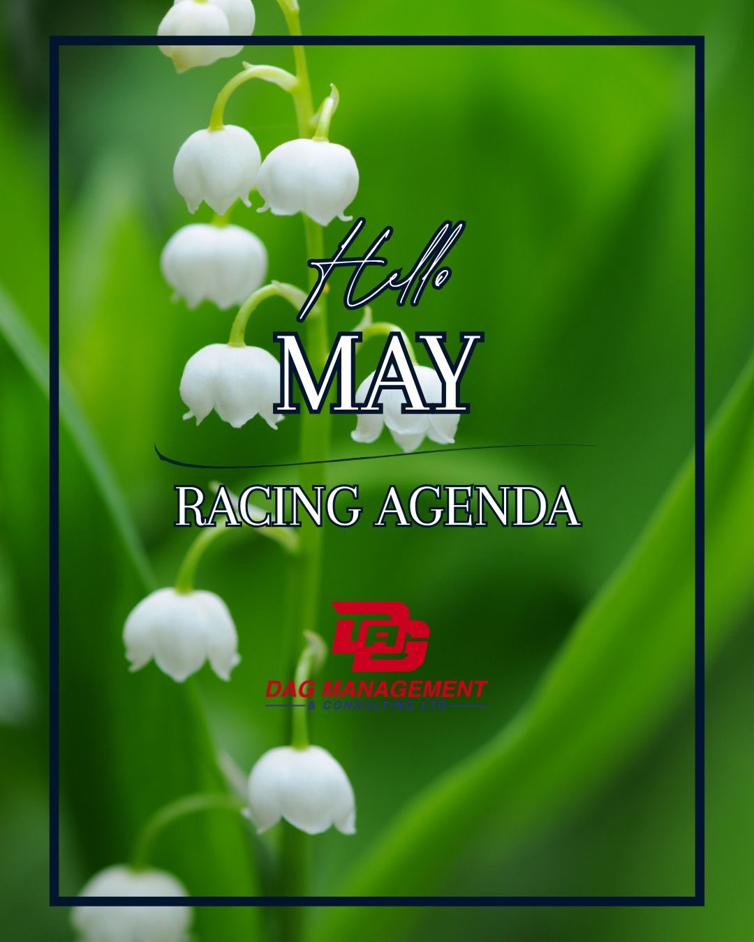 Minardi Management Facebook ad