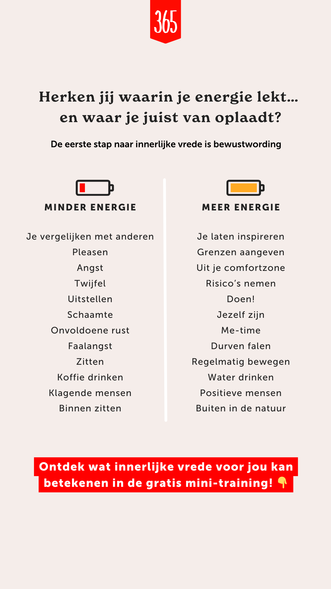 365 Dagen Succesvol Facebook ad