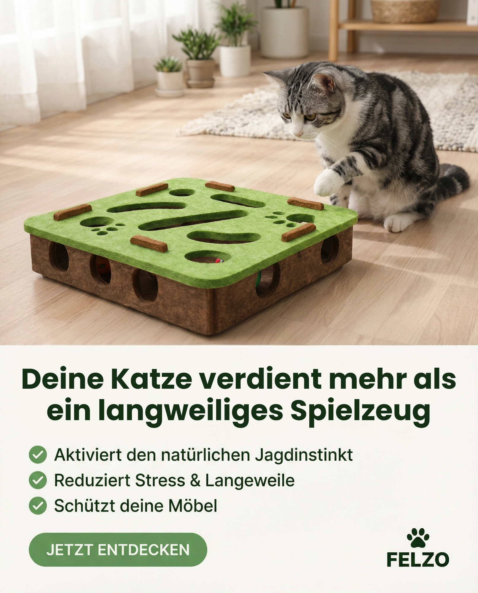 Felzo Facebook ad: Deine Katze braucht kein neues Spielzeug. Sie braucht das…