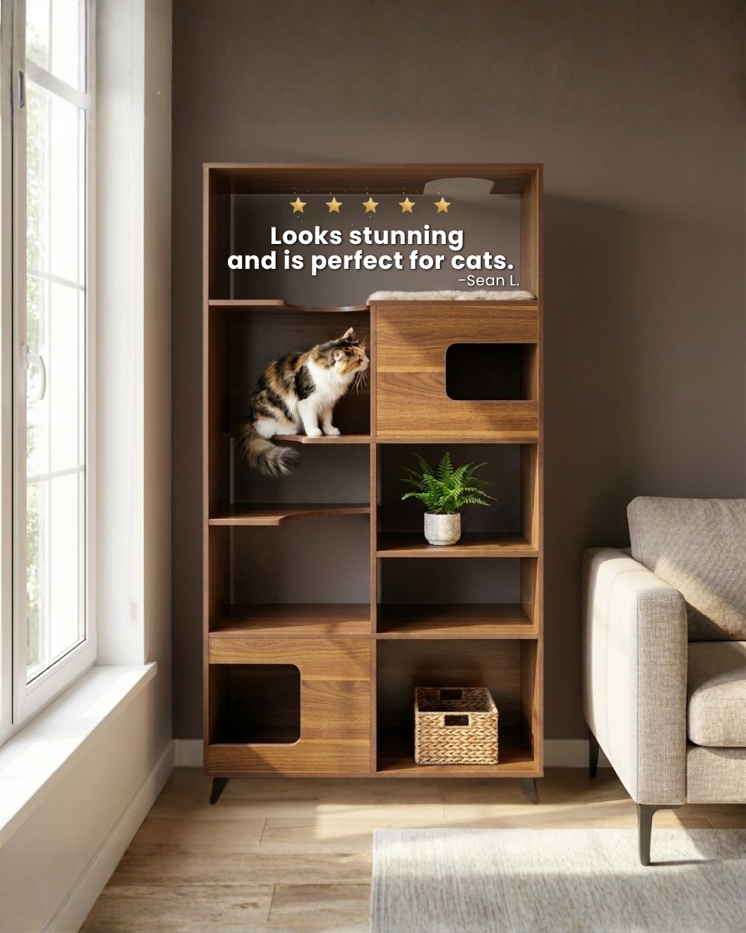 4 Cats & Dogs Home Furnishings Facebook ad