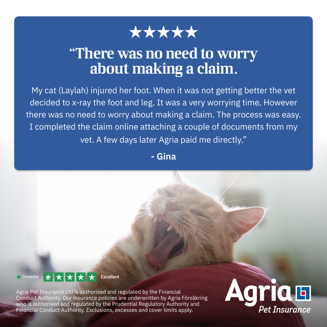 Agria Pet Insurance Facebook ad: Easy to set up, excellent cover. - Carol