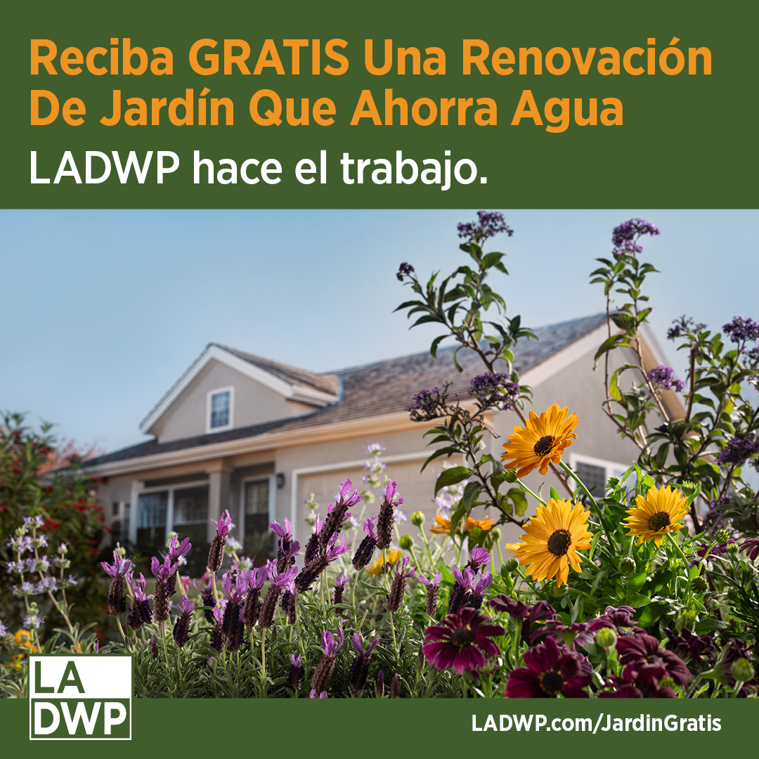 Los Angeles Department of Water & Power Facebook ad: Transforme su césped en un jardín que ahorra agua. LADWP…