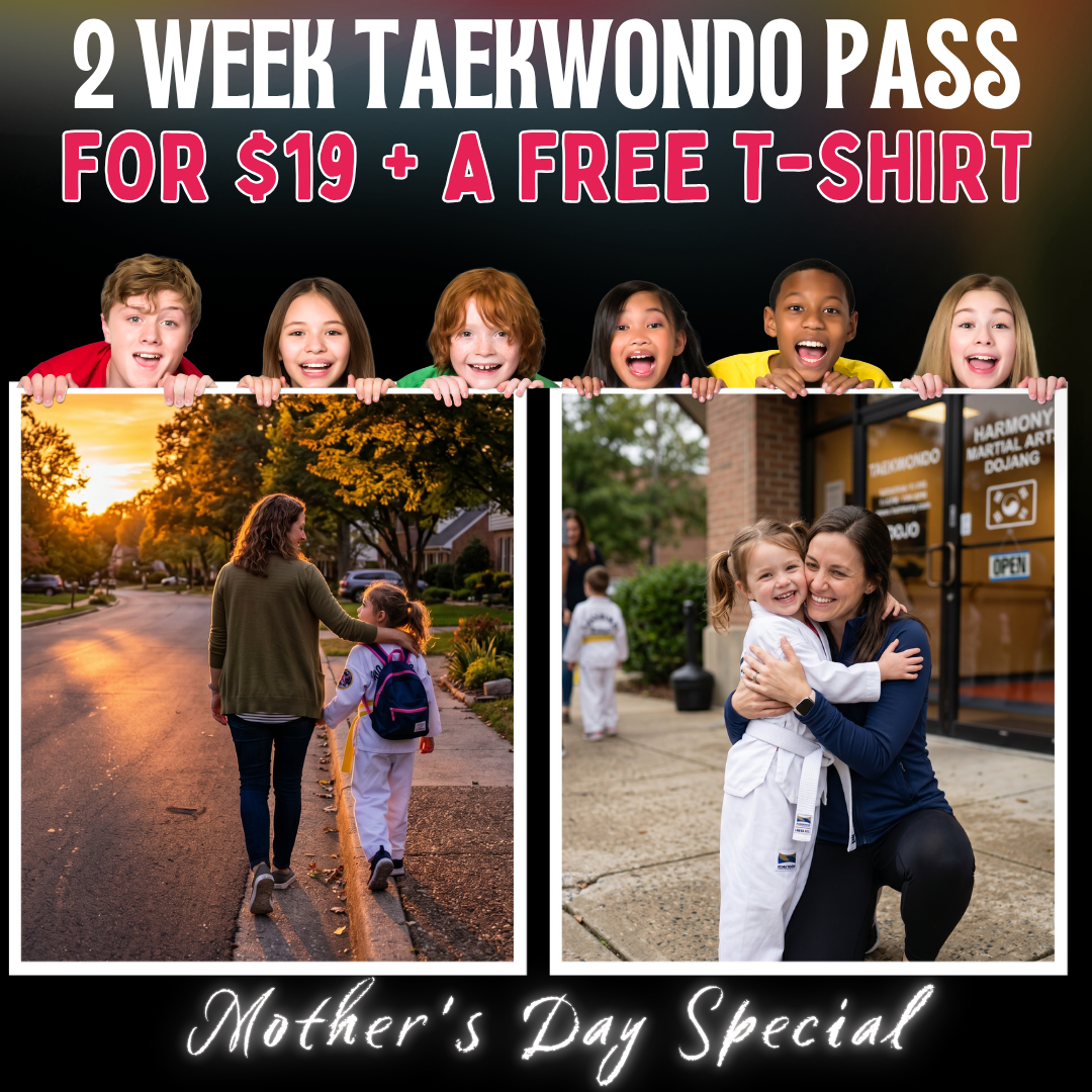 K Taekwondo - Pasadena Facebook ad