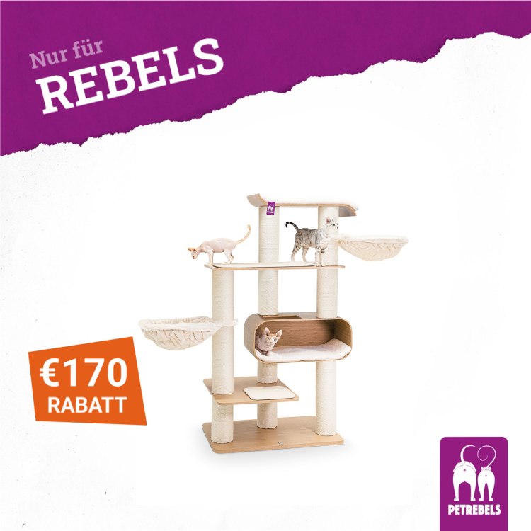 petrebels.com Facebook ad