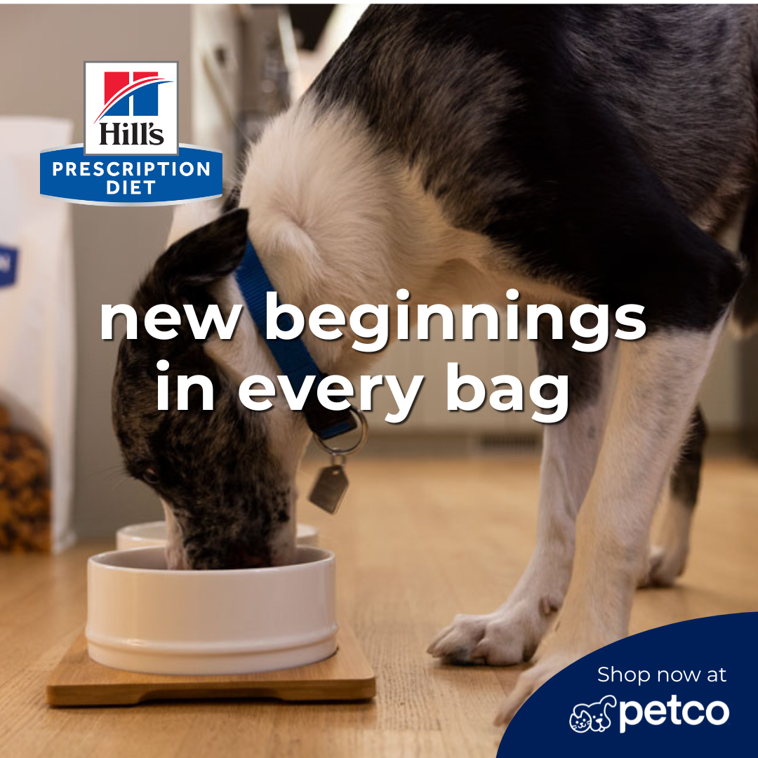 Petco Facebook ad
