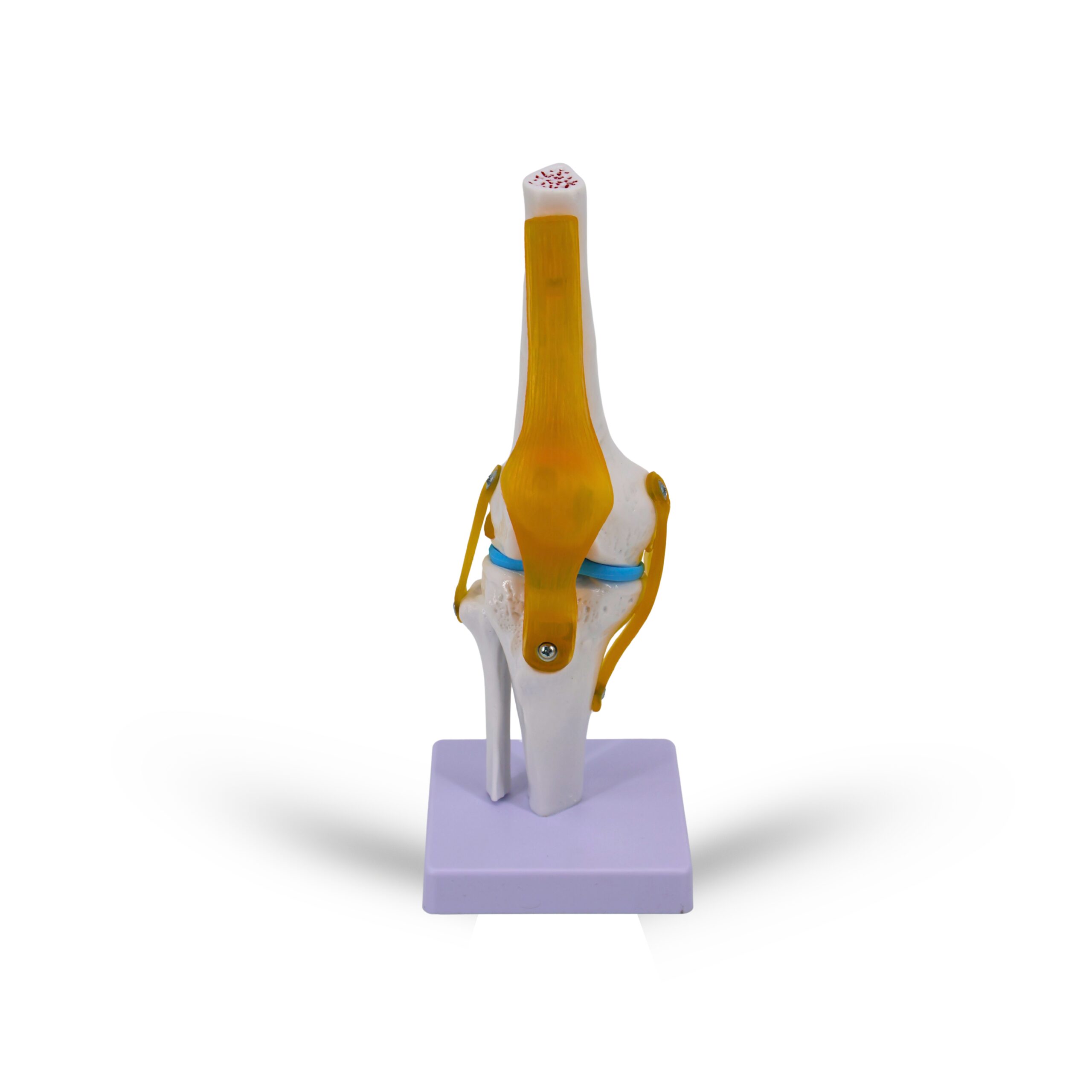 Go Well Facebook ad: Discover Gowell's Complete Range of Health Essentials!