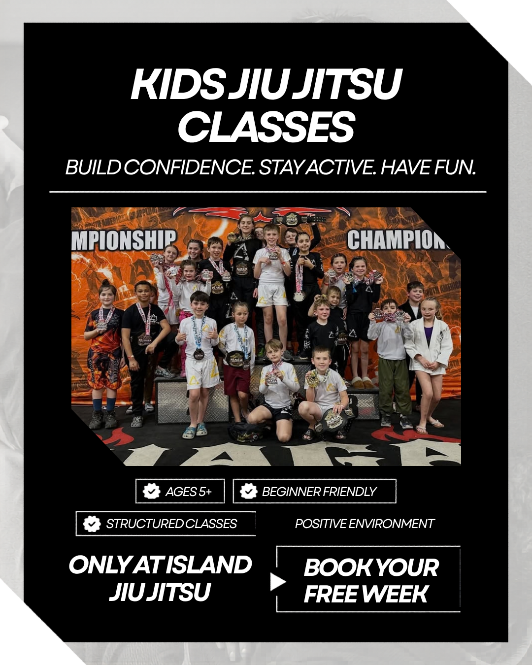 Island Jiu Jitsu Michigan Facebook ad