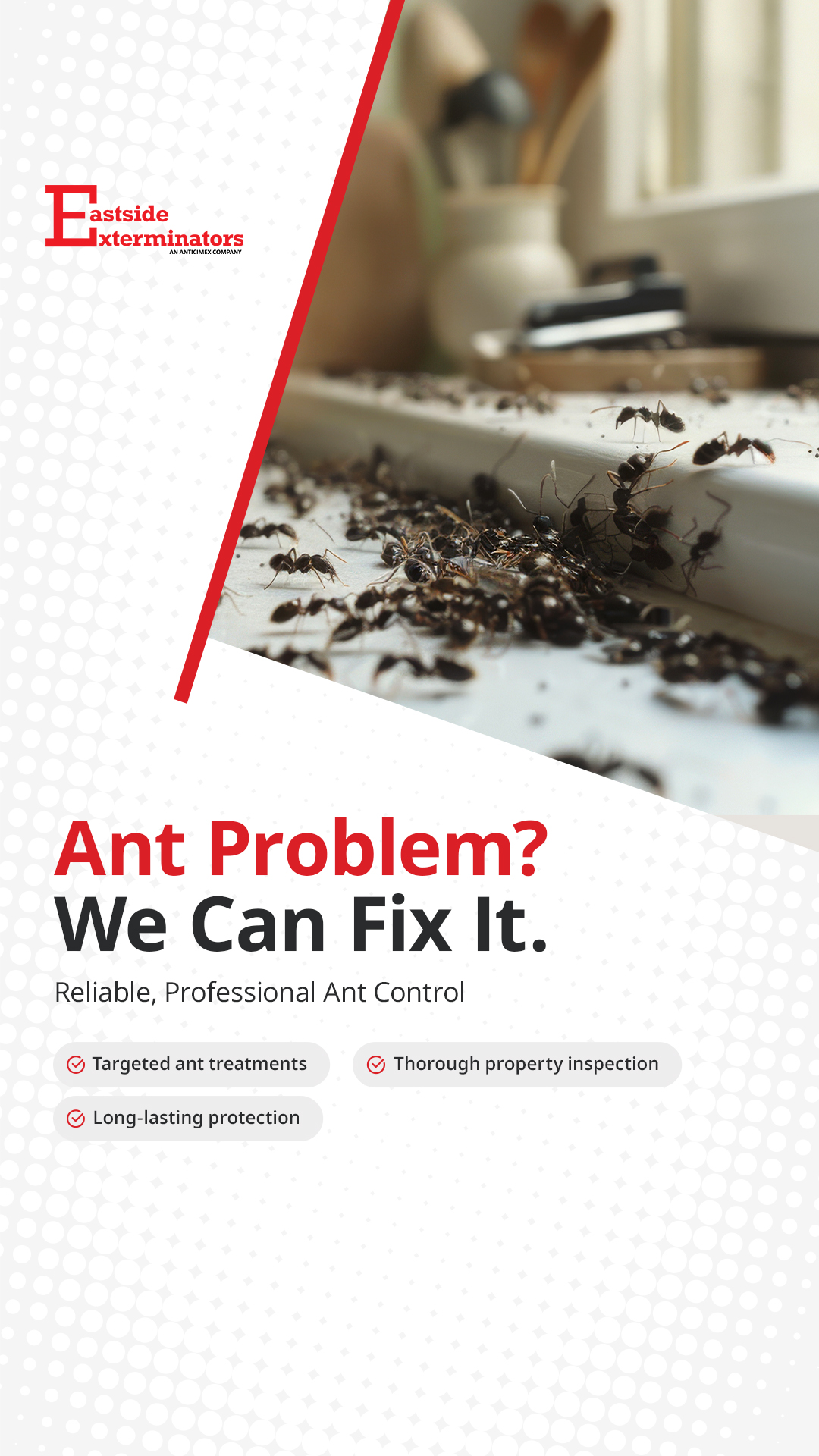 Eastside Exterminators Facebook ad from Jun 16, 2026