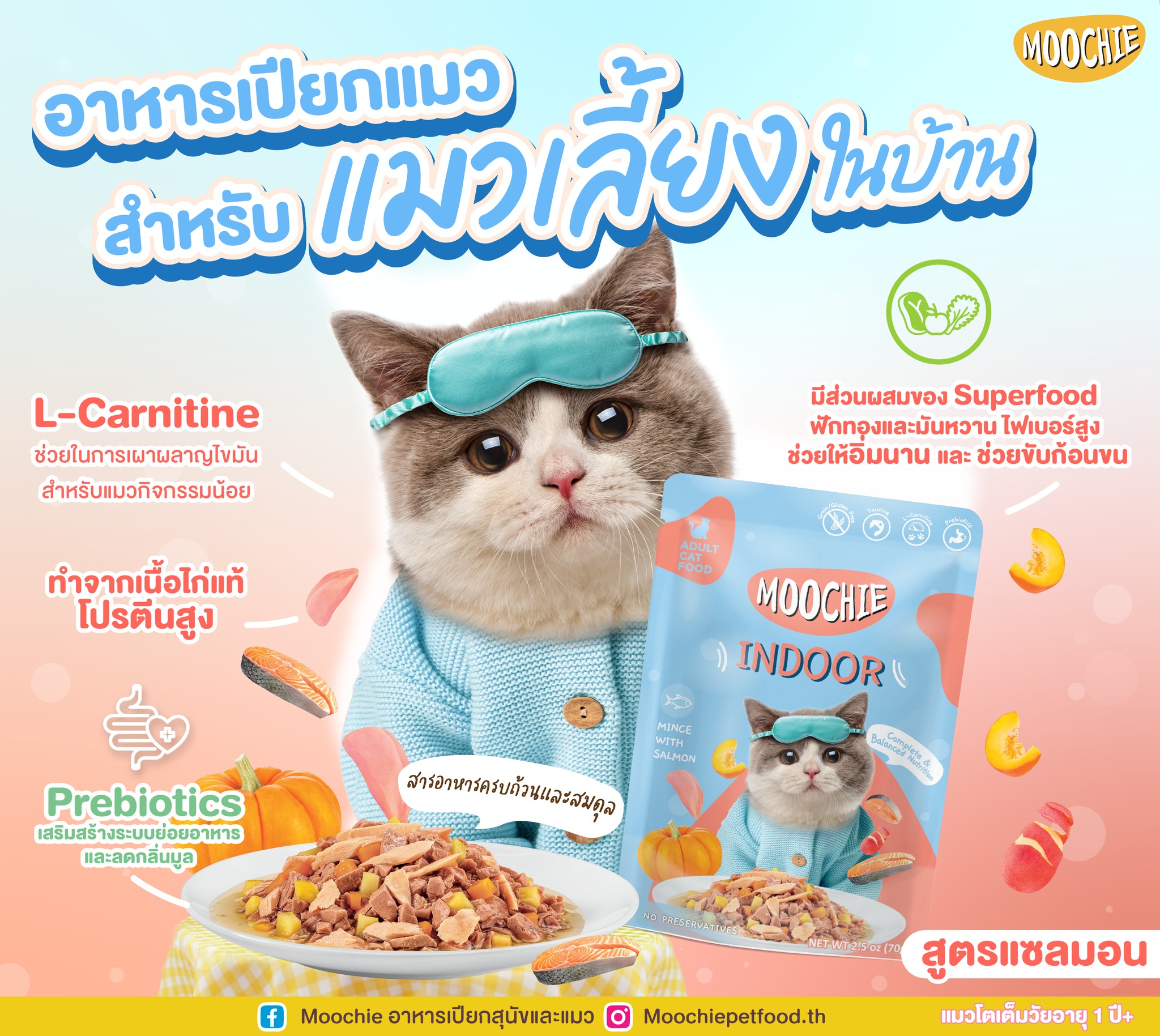 Moochie อาหารเปียกสุนัขและแมว Facebook ad: แมวเลี้ยงในบ้าน ก็ต้องมีมื้อดีๆ…