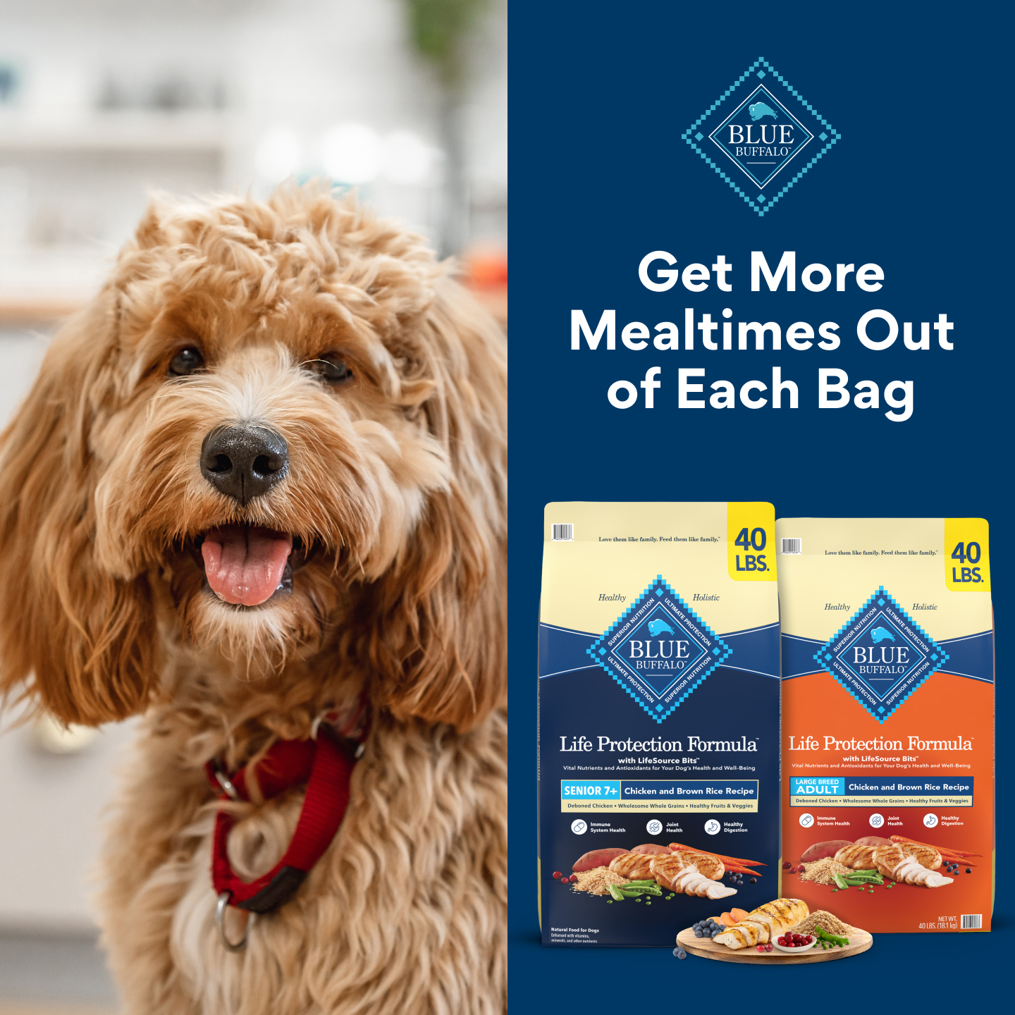 Chewy Facebook ad