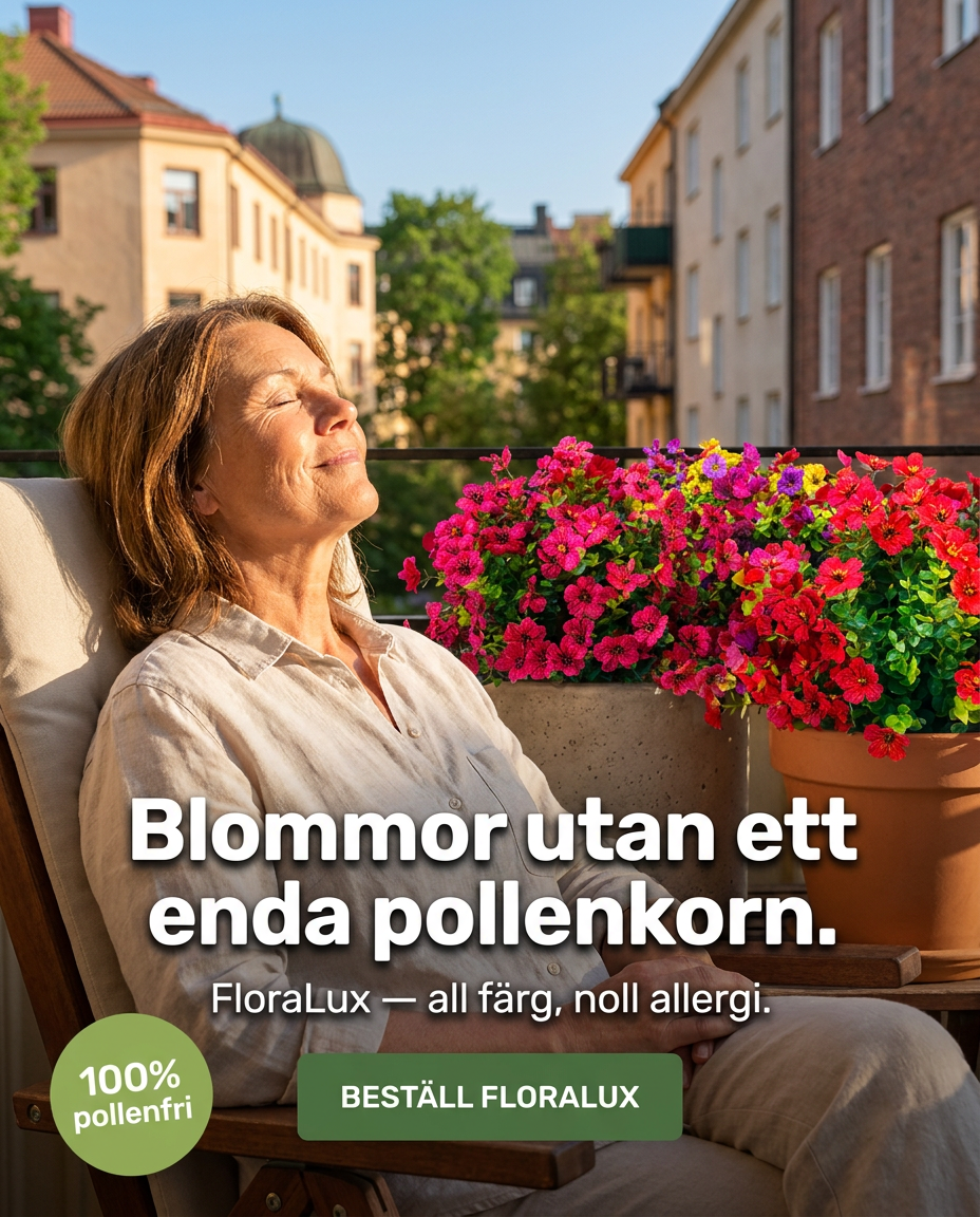 Norillo Facebook ad