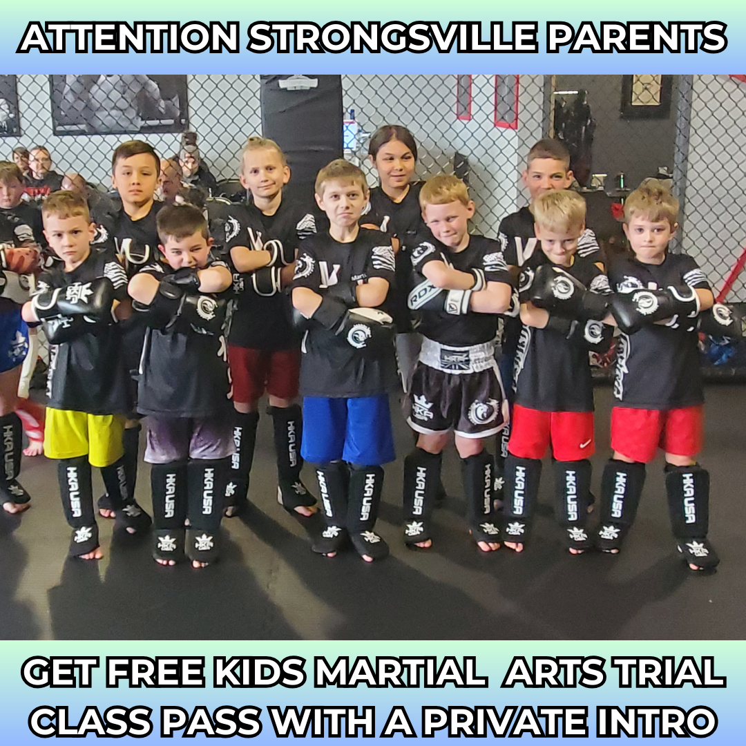 Vanyo MMA Facebook ad: Want a FREE Kids Martial Arts Trial Class Pass?
