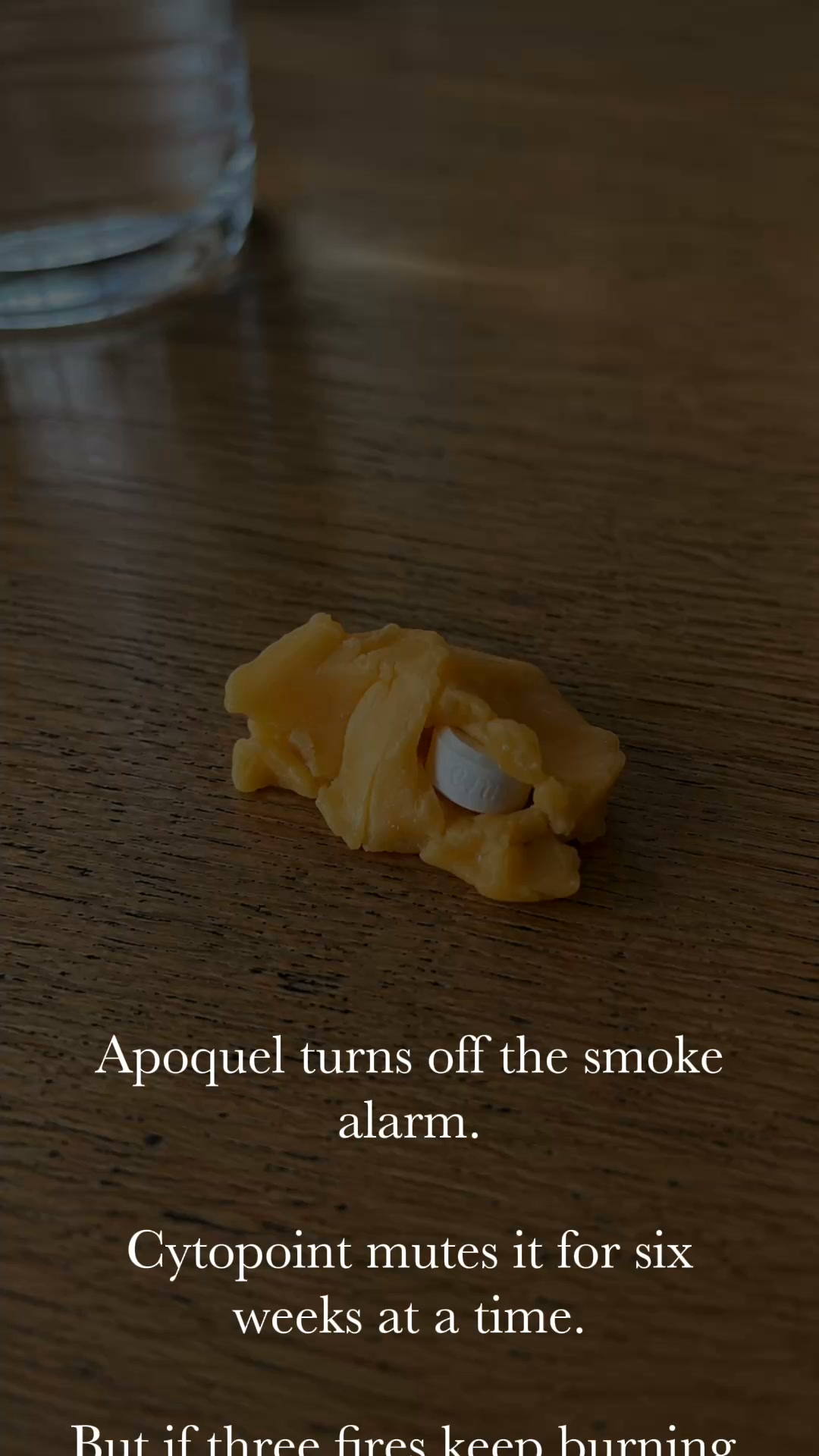 Dog Wellness Explained Facebook ad: Take Your Dog Off Apoquel And Give Them Itch Relief That…