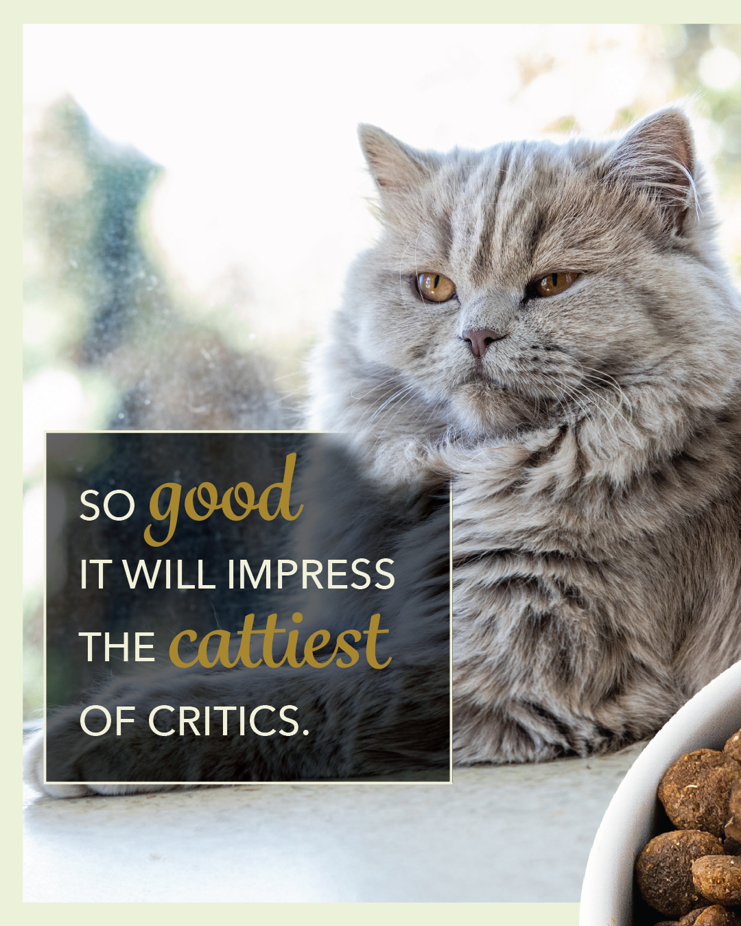 ACANA Pet Foods Facebook ad: Mealtime is going to be your cat's favorite…