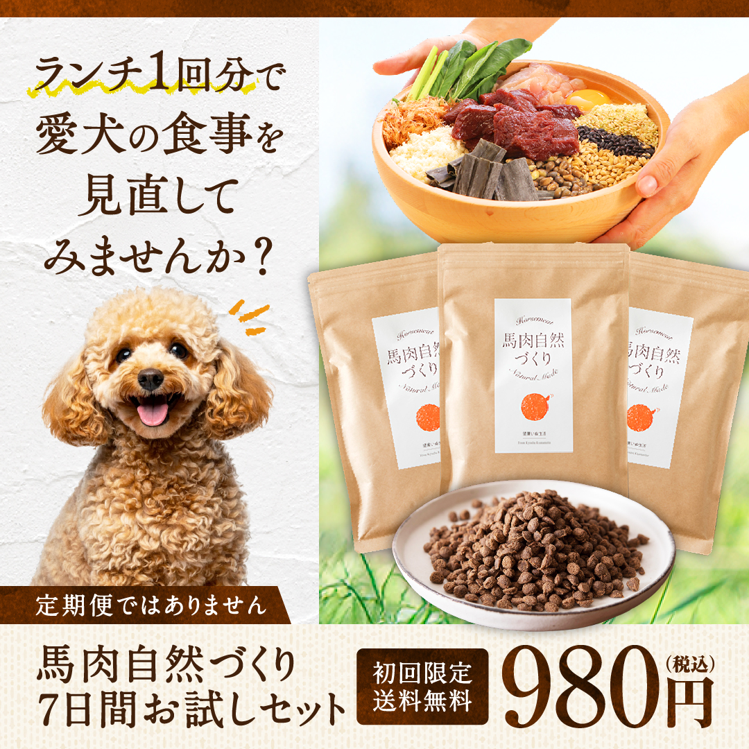 健康いぬ生活 Facebook ad