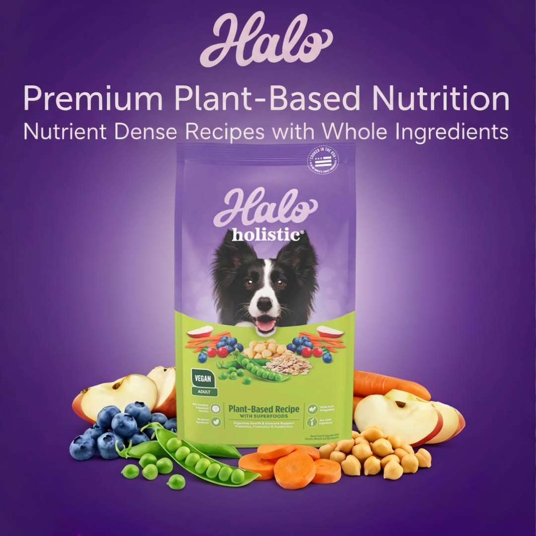 Chewy Facebook ad: Halo Plant-based Recipes, Complete & Balanced