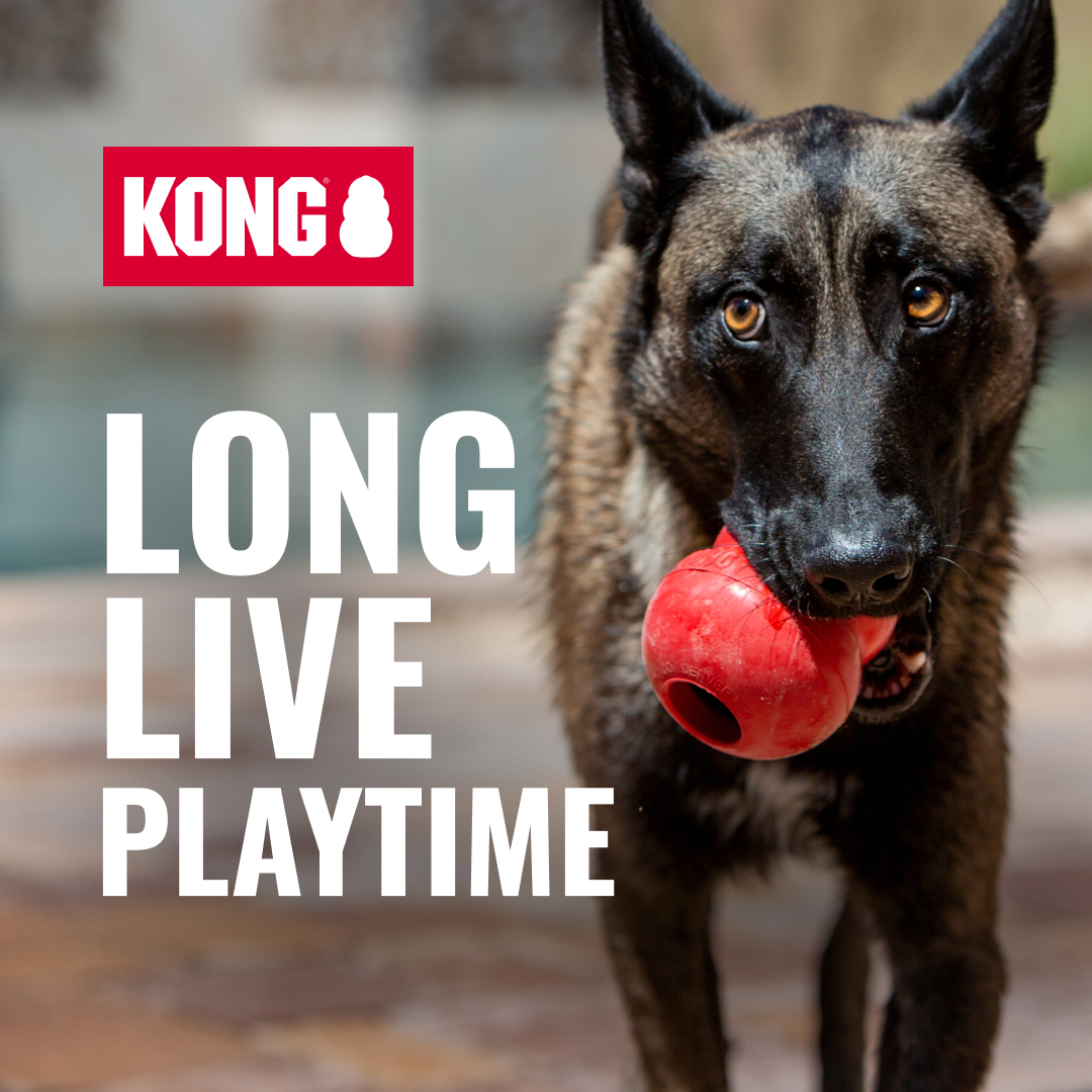 KONG Facebook ad