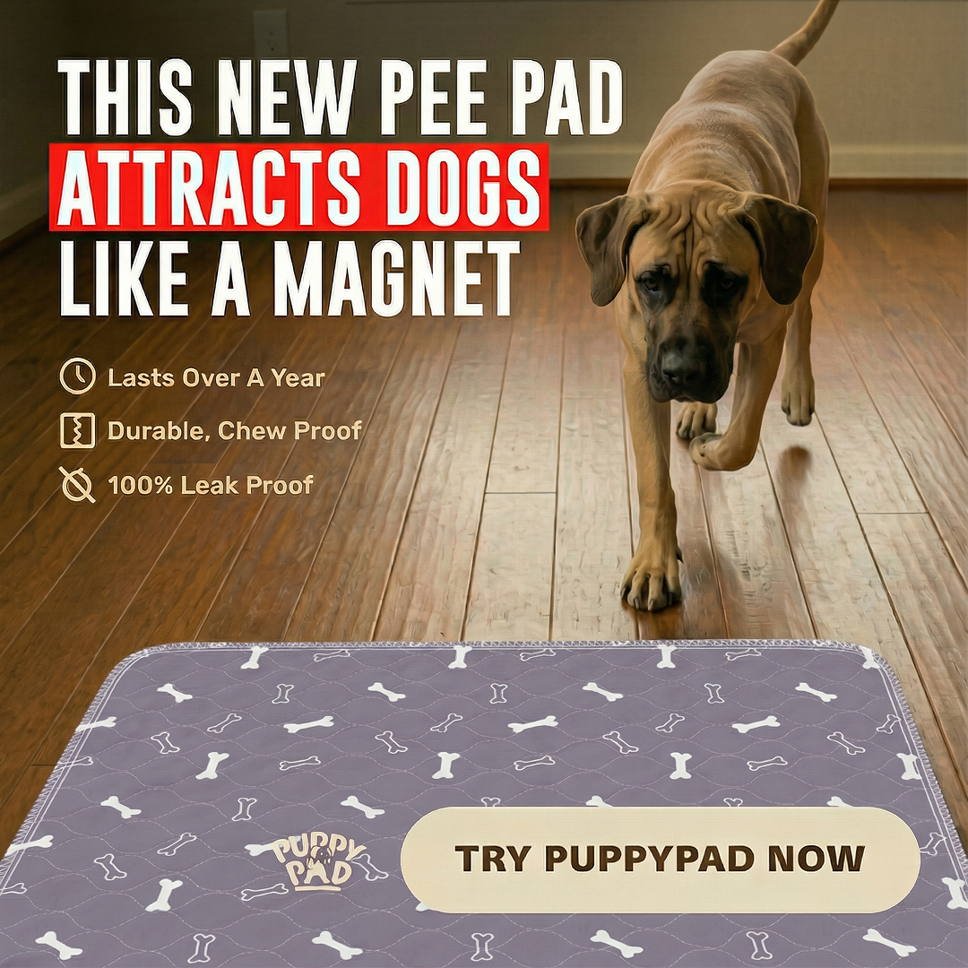 PuppyPad Facebook ad