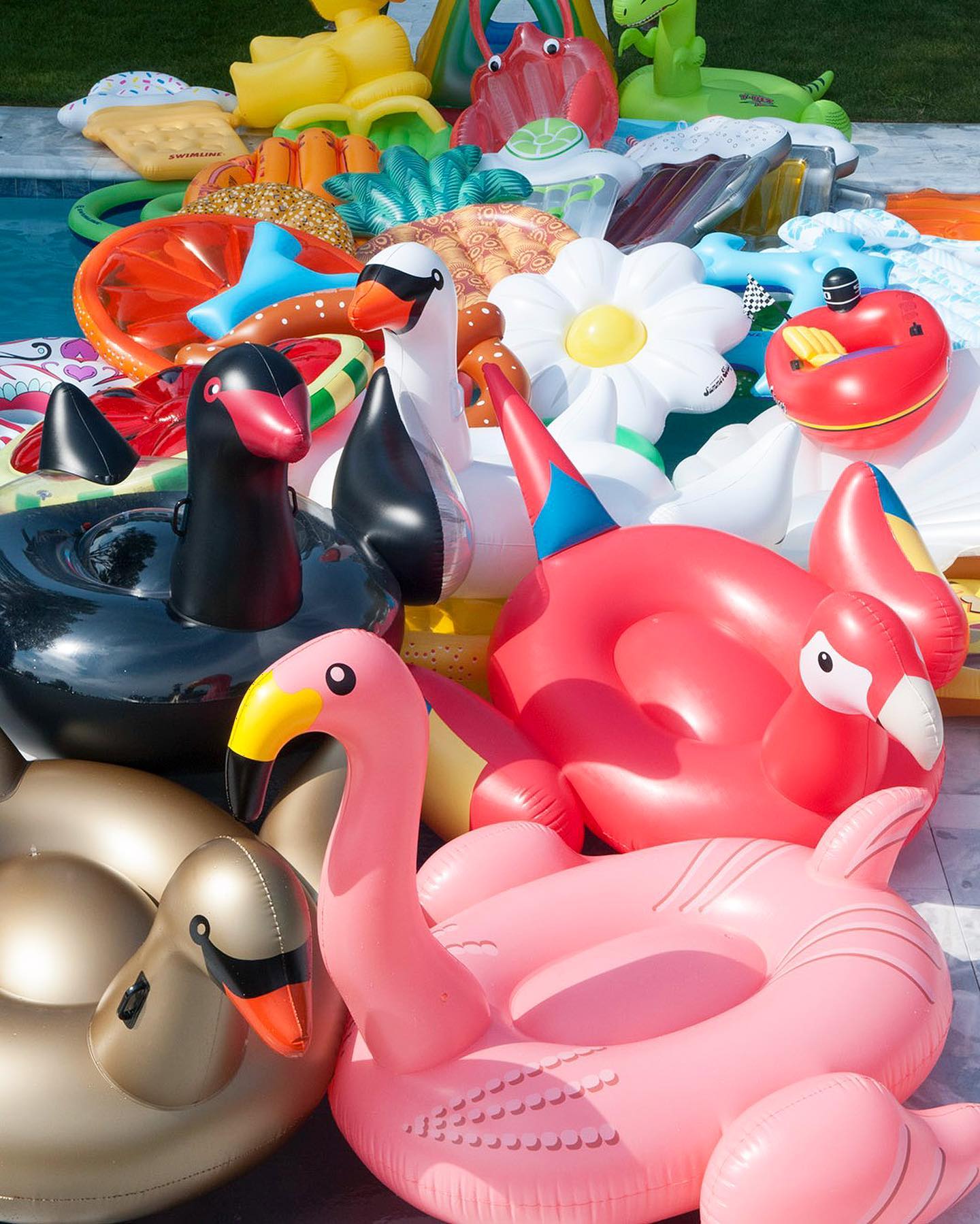 Swimline Facebook ad: Keep the floaties comin'!