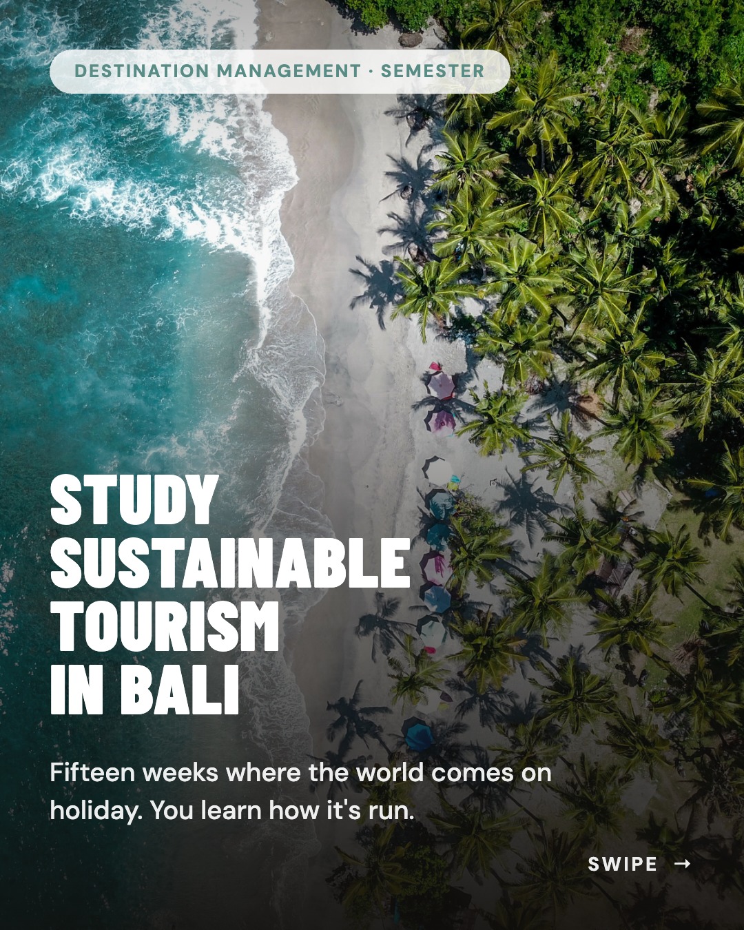 Study In Bali Facebook ad