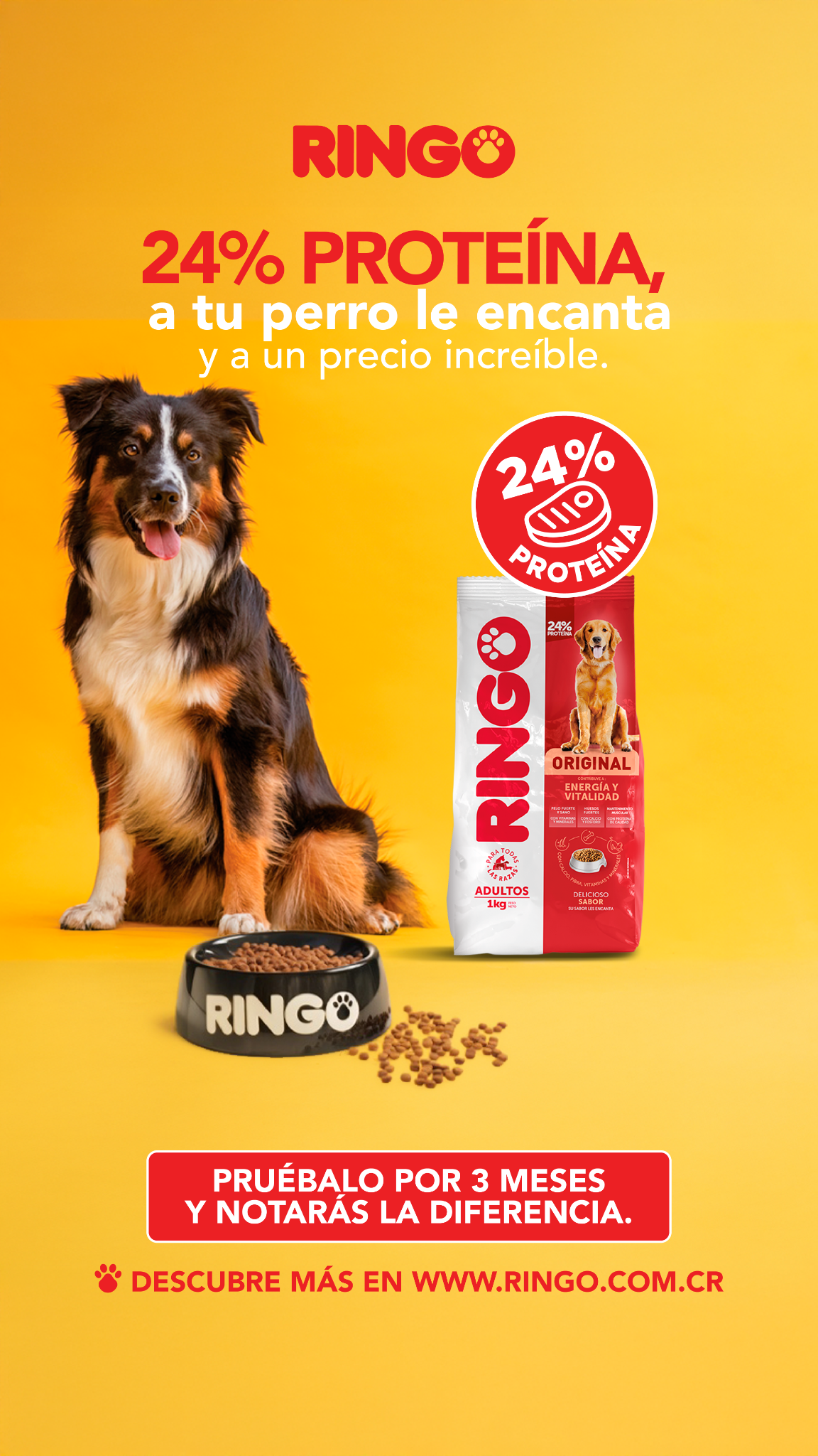 EfectoRingo Facebook ad