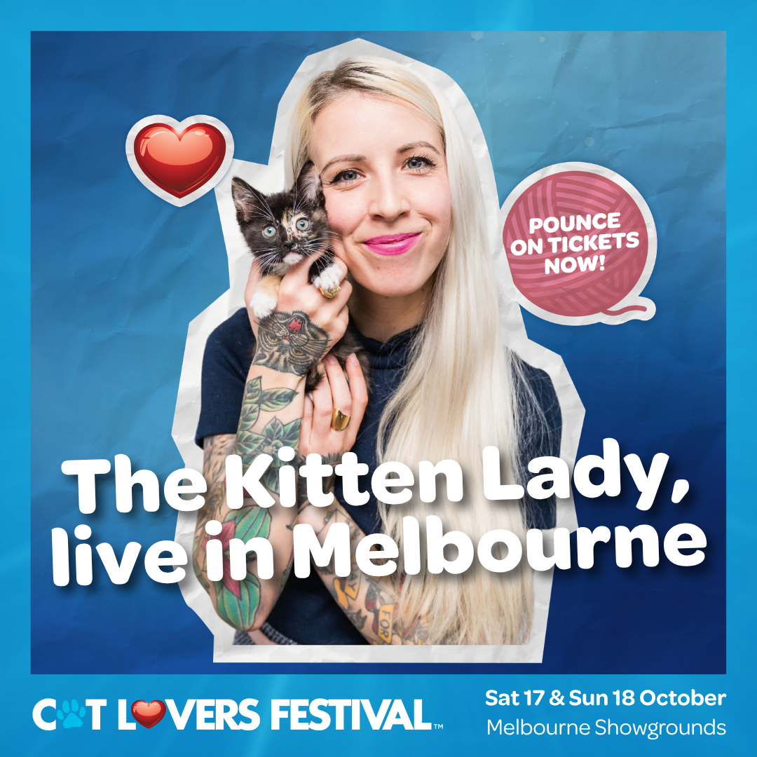 Cat Lovers Festival Facebook ad: The Cat Lovers Festival Is Back