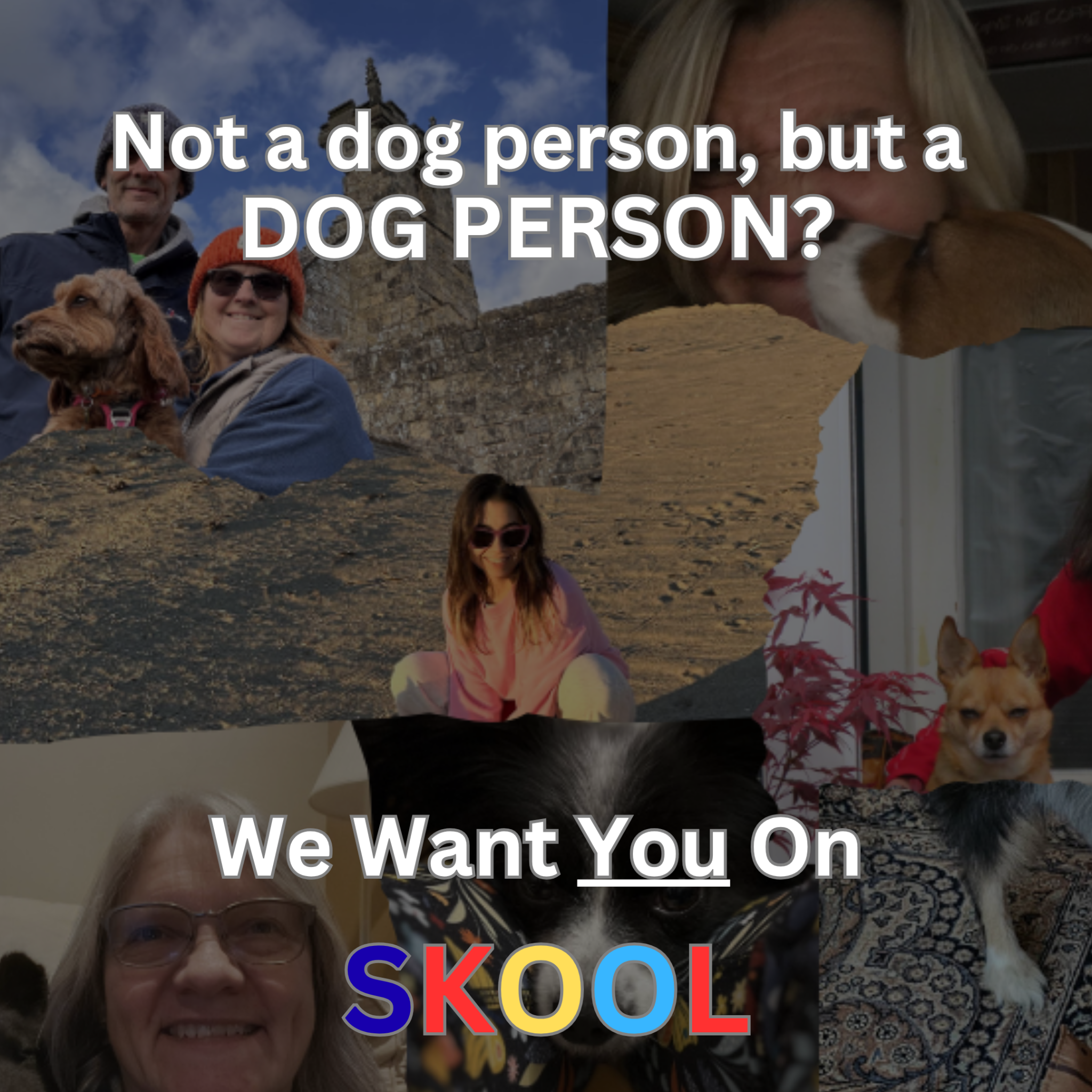 Skool Facebook ad