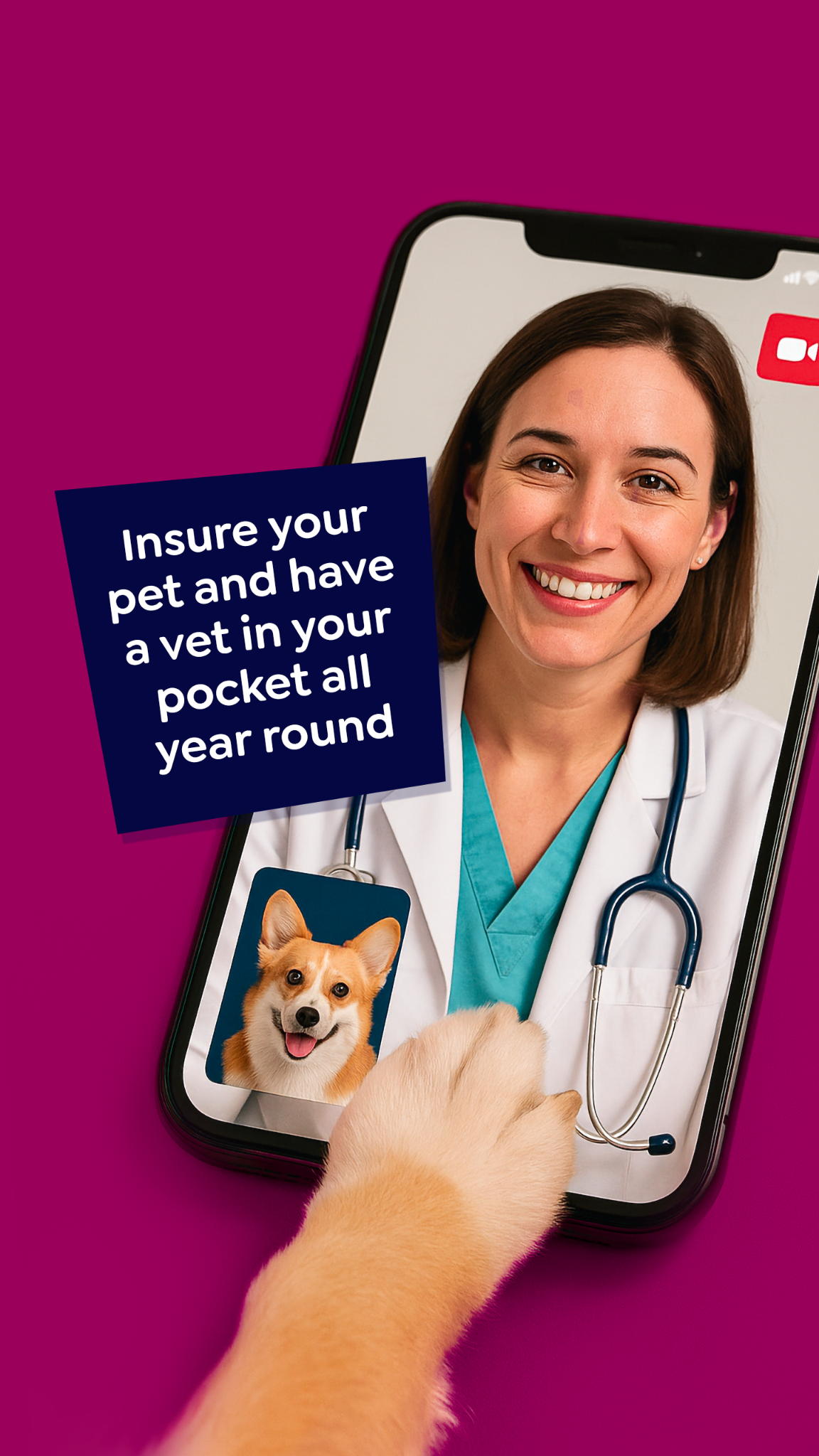 Petgevity UK Facebook ad
