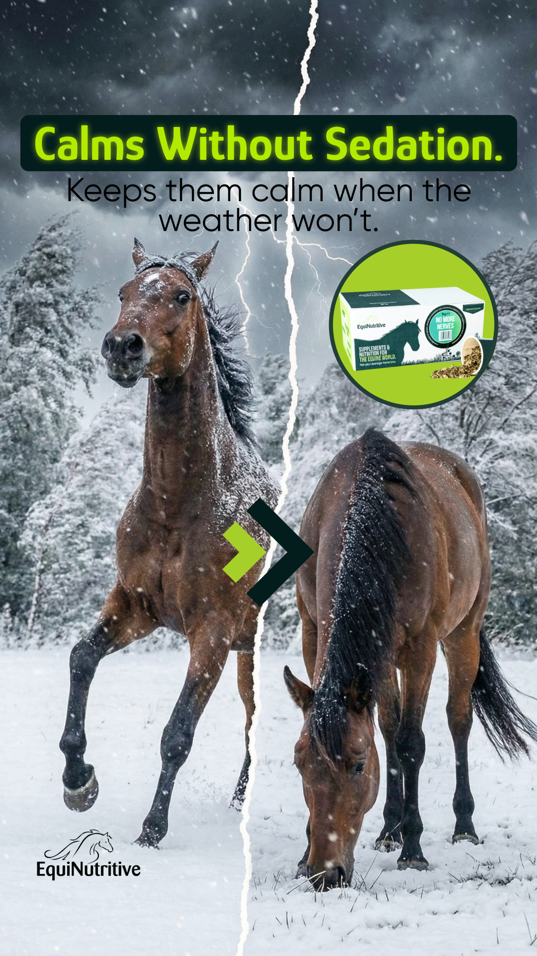 EquiNutritive Facebook ad