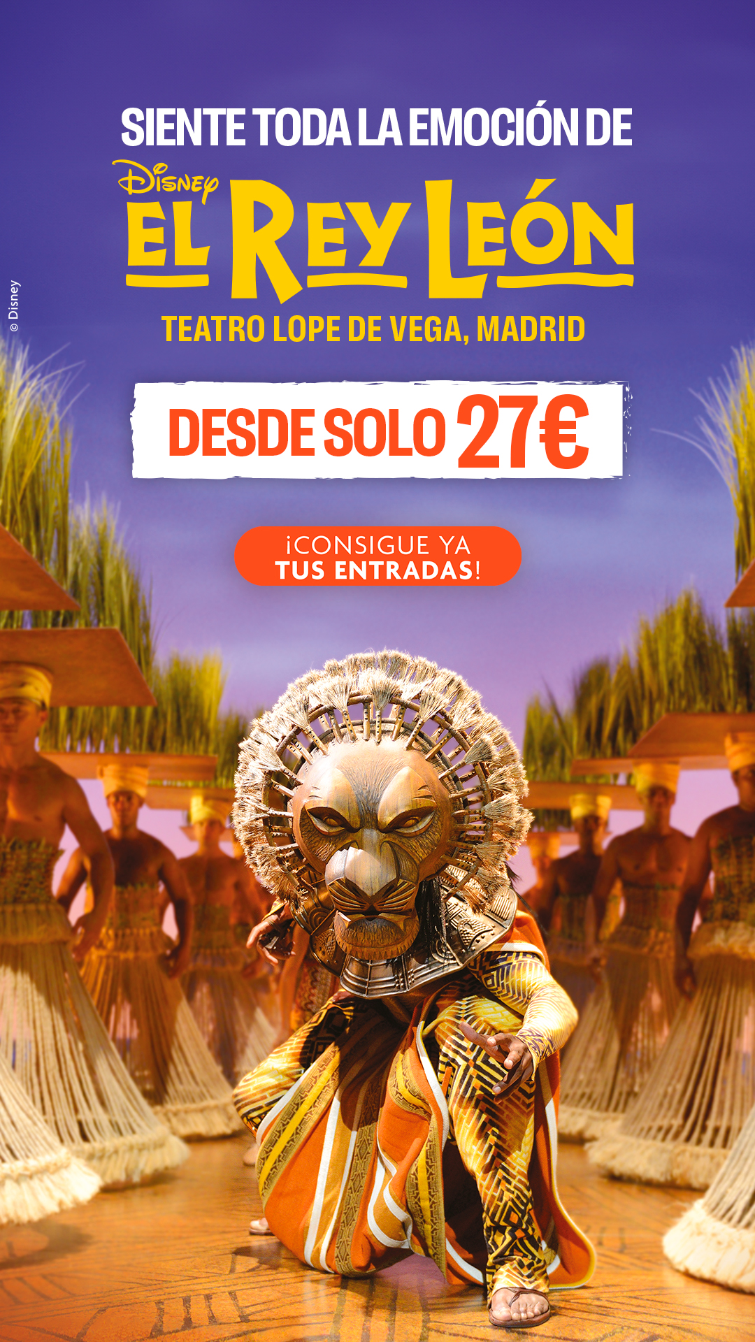 El Rey León, el musical Facebook ad from Jan 7, 2026