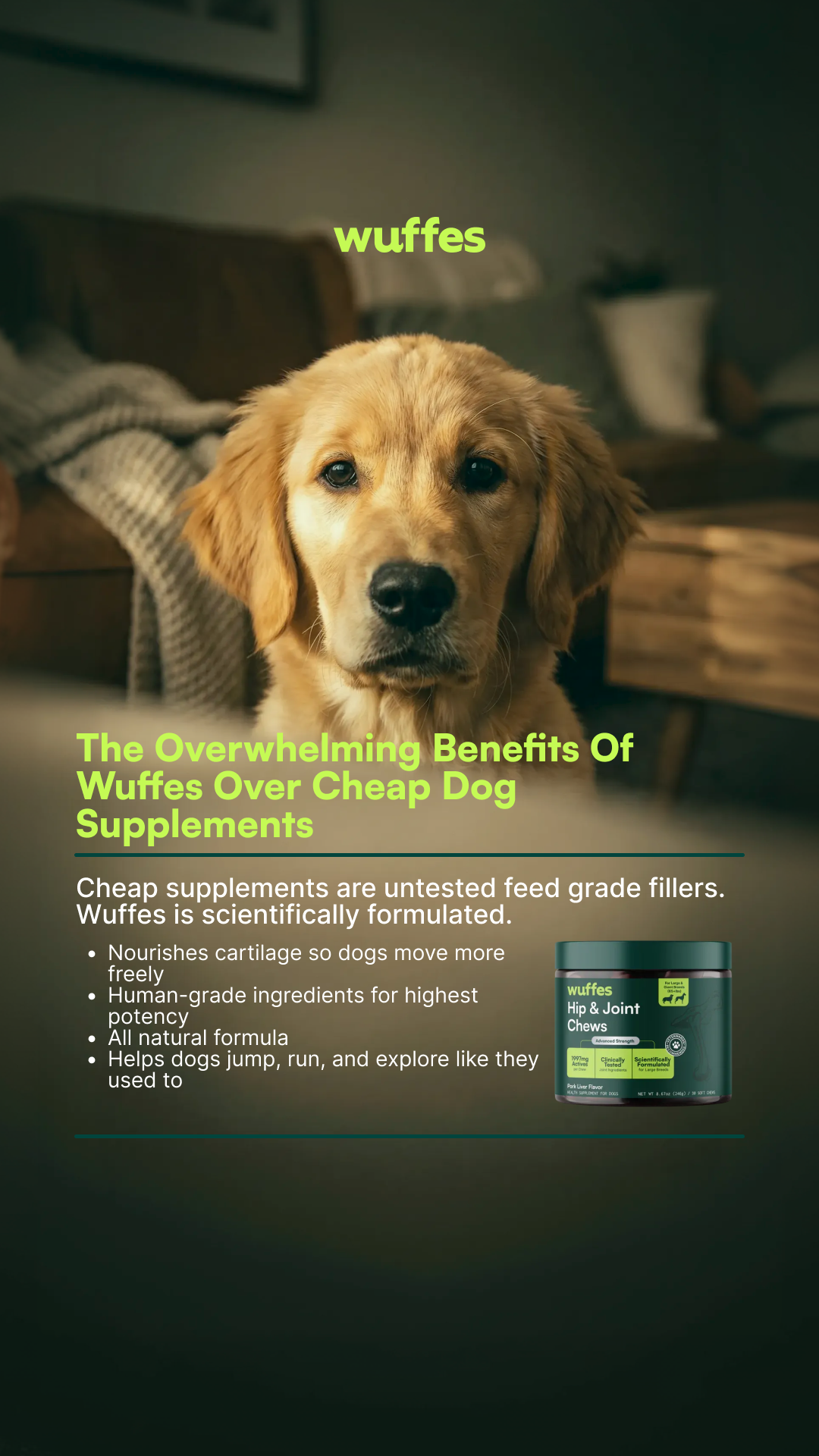 Everyday Pet Health Facebook ad