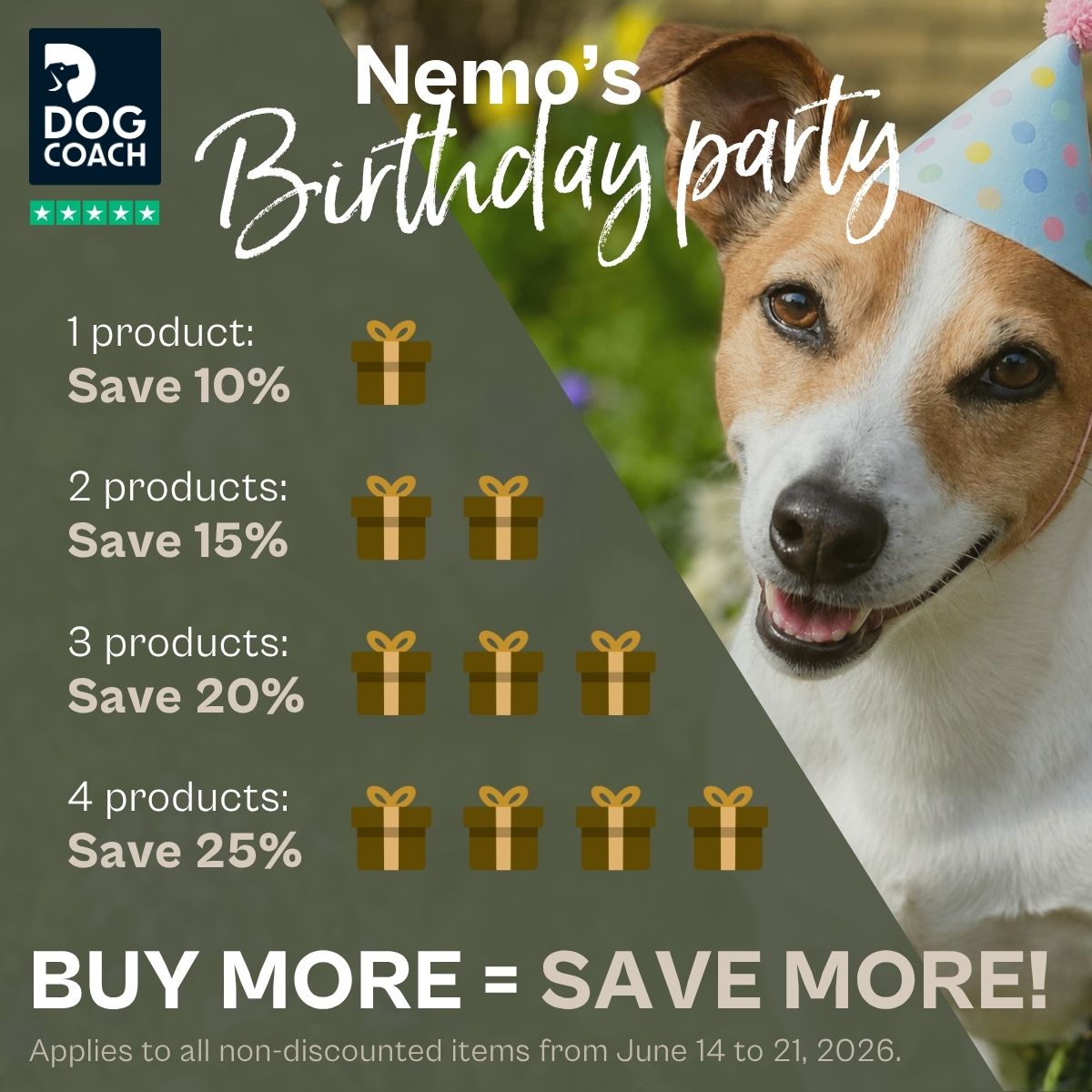 DogCoach Facebook ad