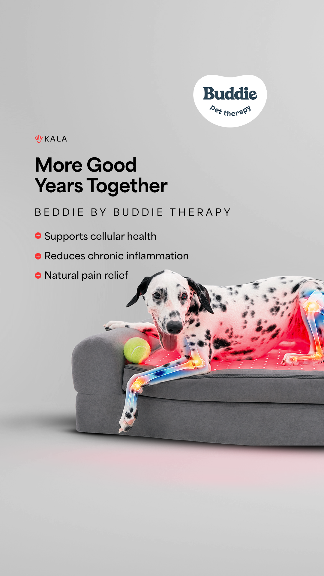 Buddie Pet Therapy Facebook ad