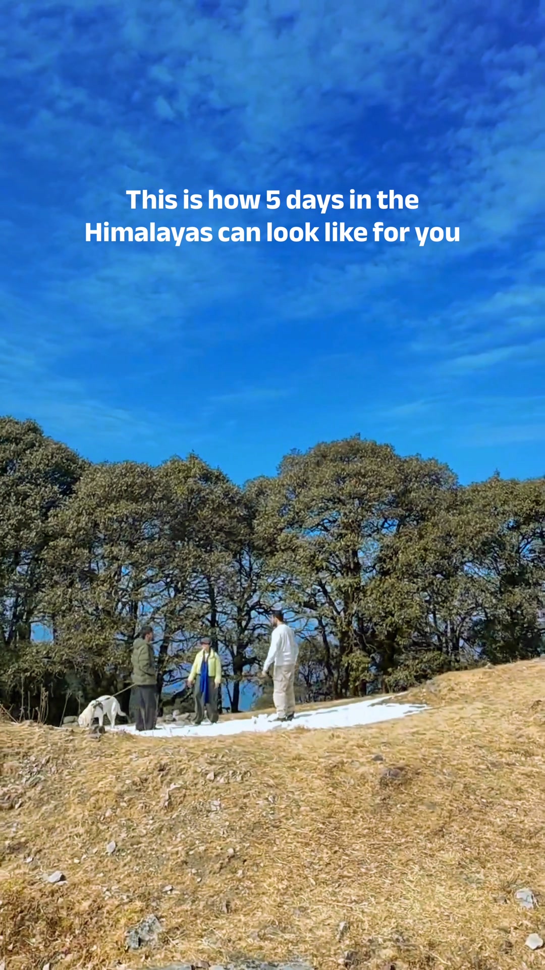 Vital Roots Facebook ad: Tired of Life? Lets disappear into the mountains