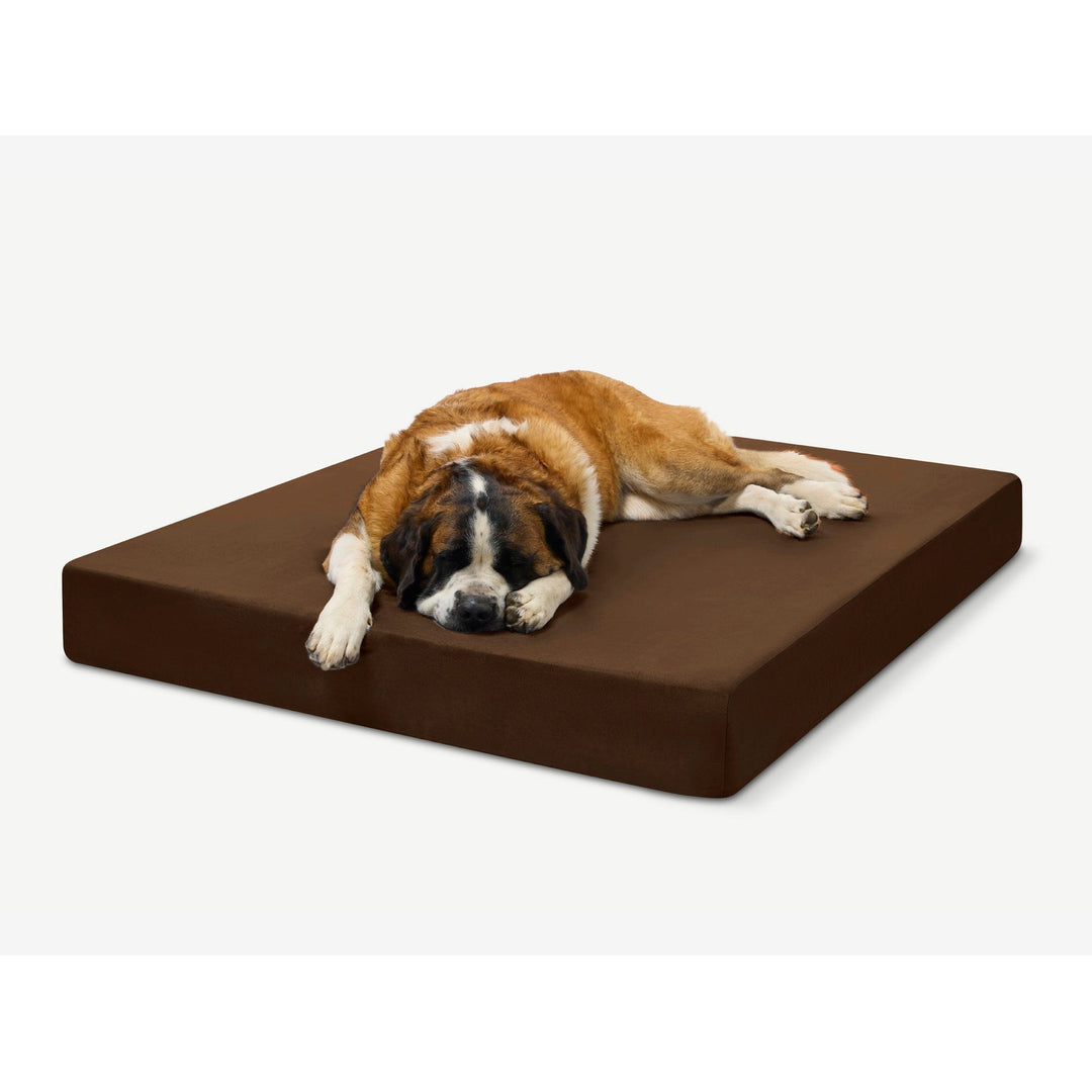 Barker Dog Beds Facebook ad