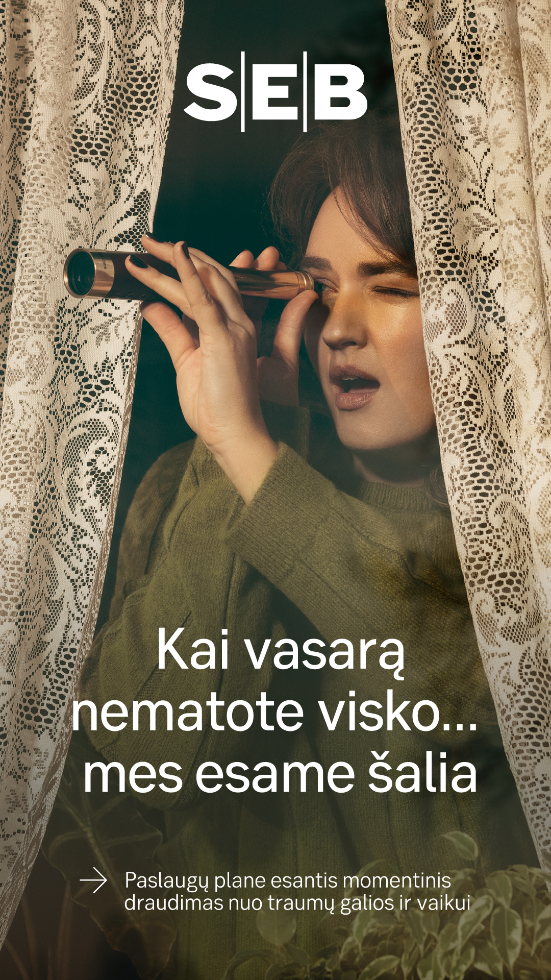 SEB Lietuvoje Facebook ad
