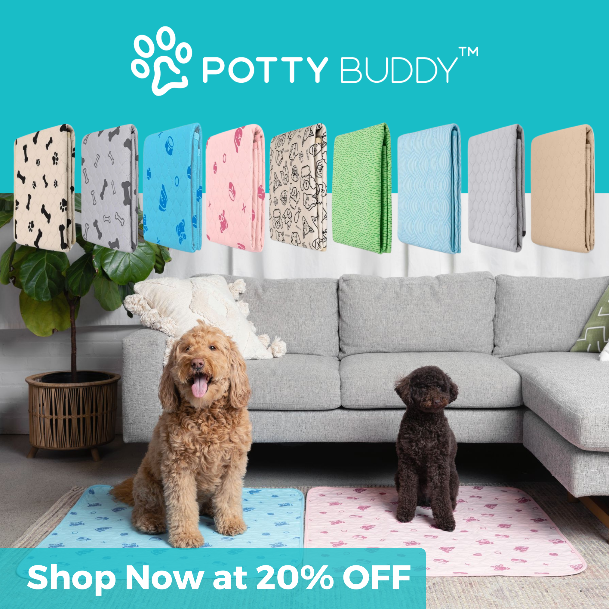 Potty Buddy Facebook ad
