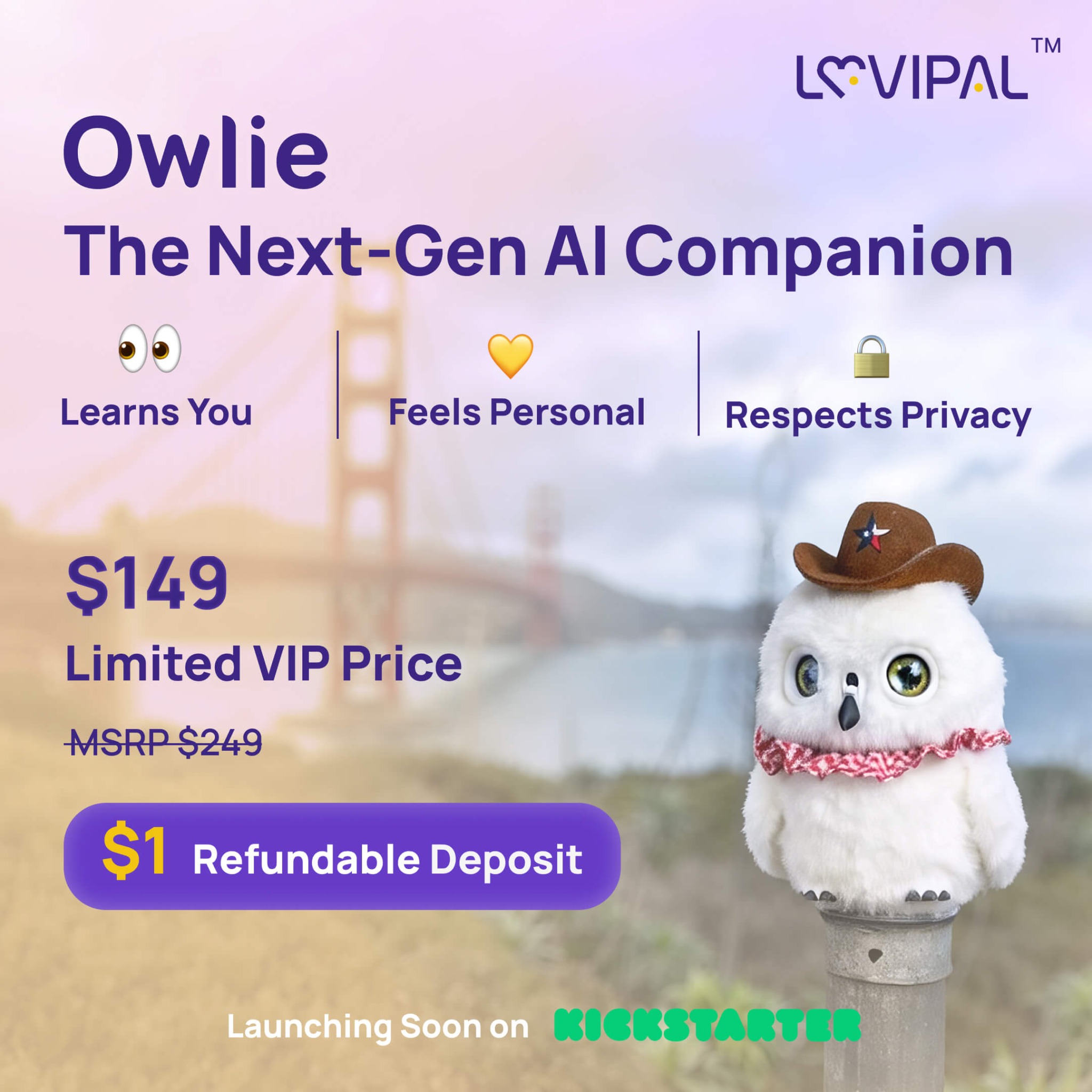 Owlie Facebook ad