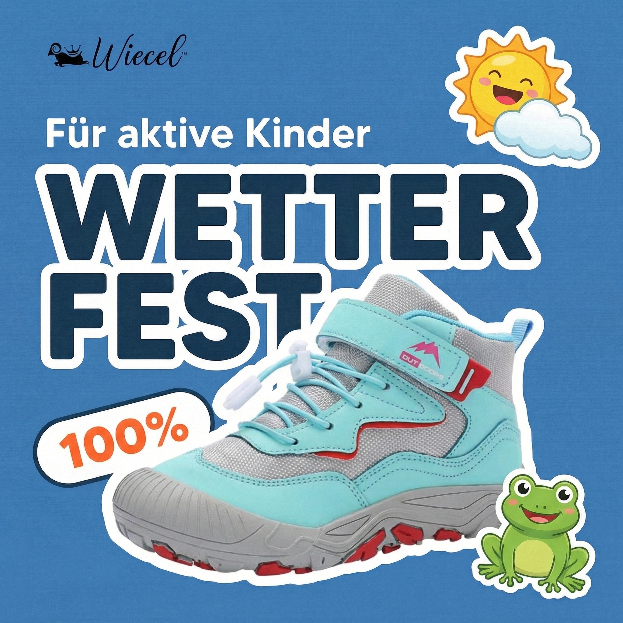 Wiecel.com Facebook ad