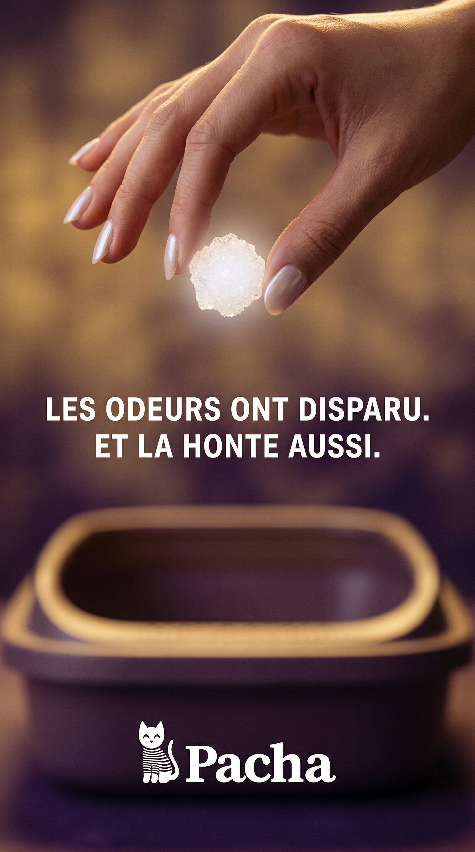 Pacha Facebook ad