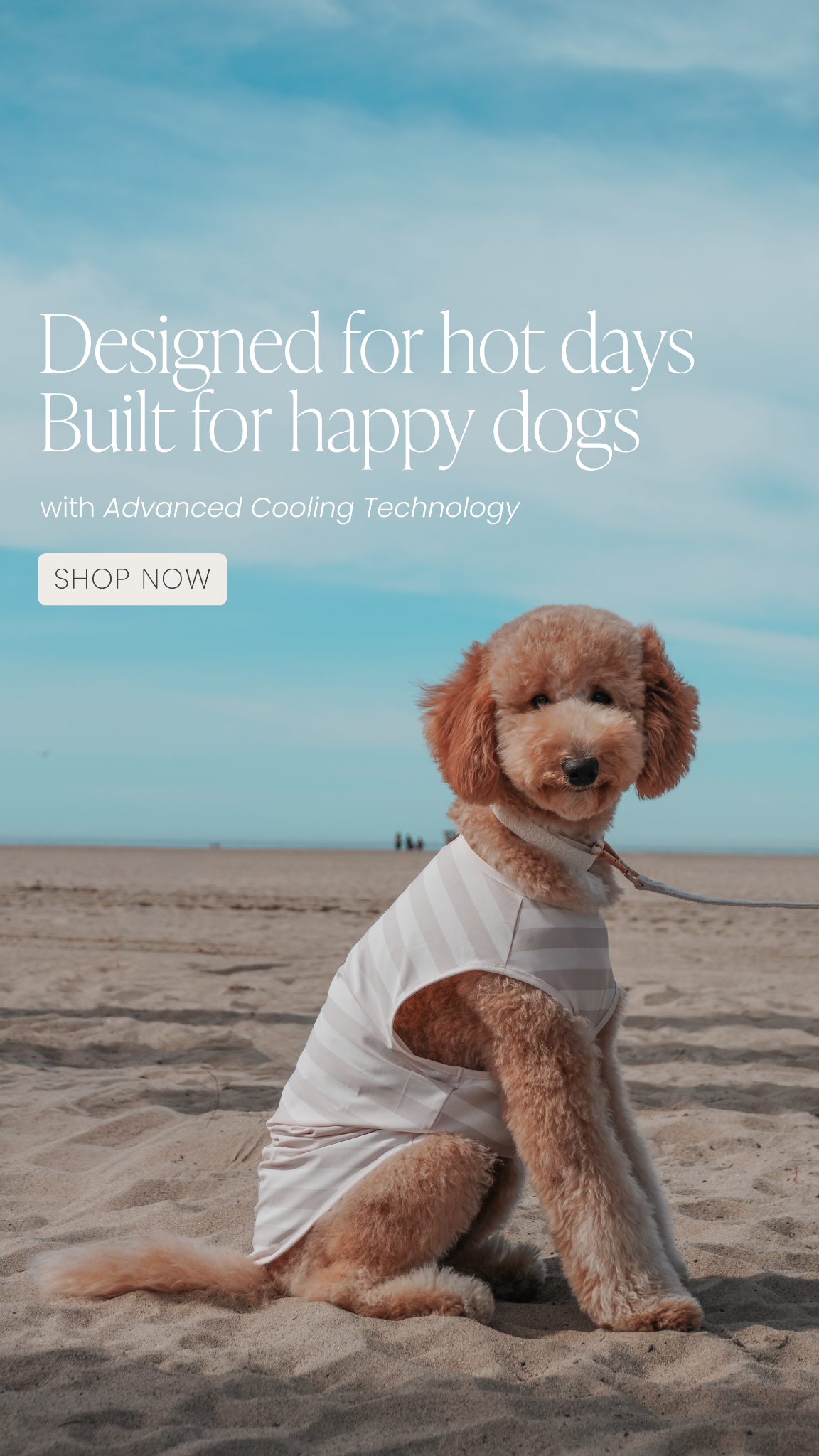 By Teddy Facebook ad