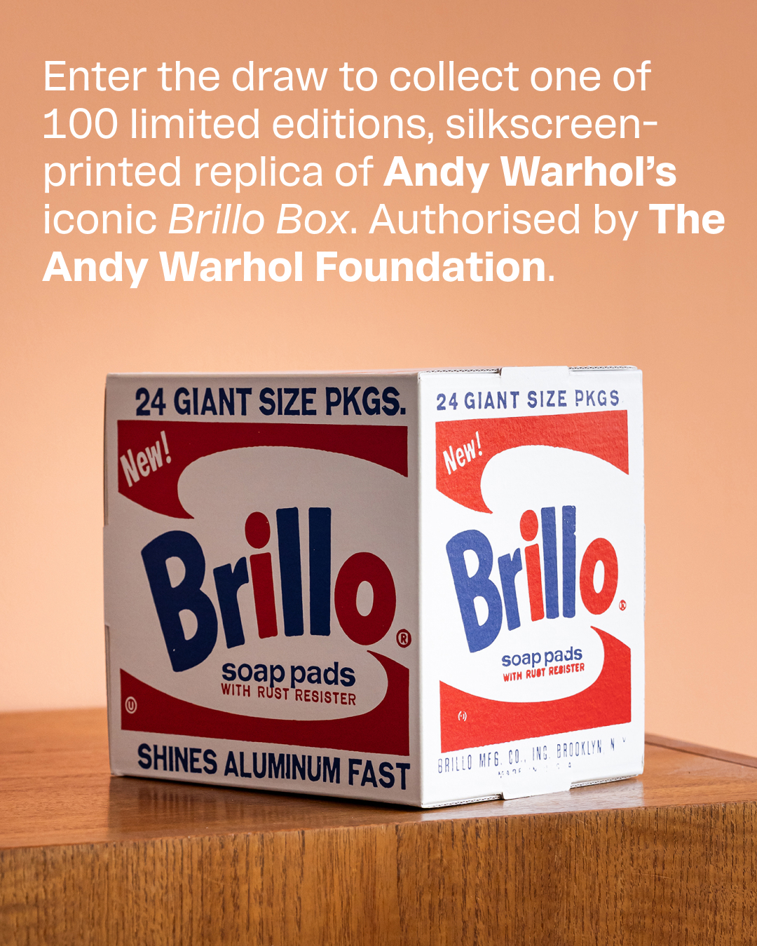 The Andy Warhol Foundation for the Visual Arts Facebook ad