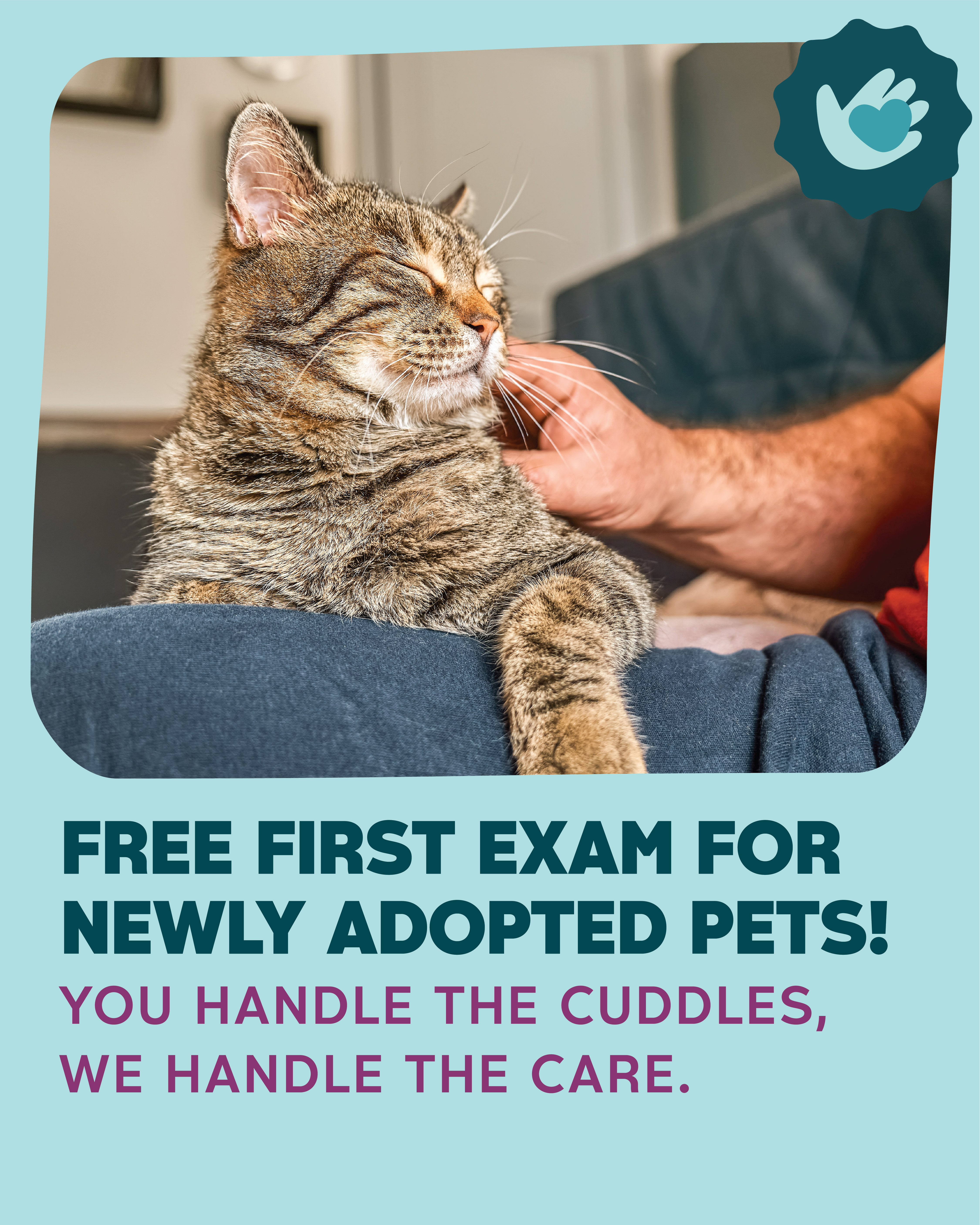 Butterfield Animal Hospital Facebook ad: Free First Exam for Newly Adopted Pets