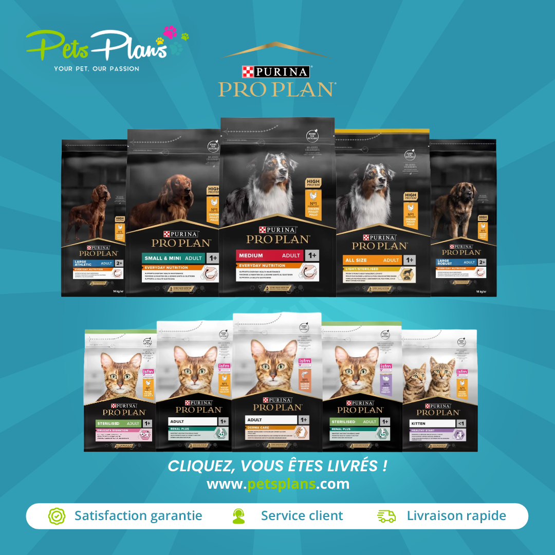 Pets Plans Facebook ad: Tout pour votre animal de compagnie en un…