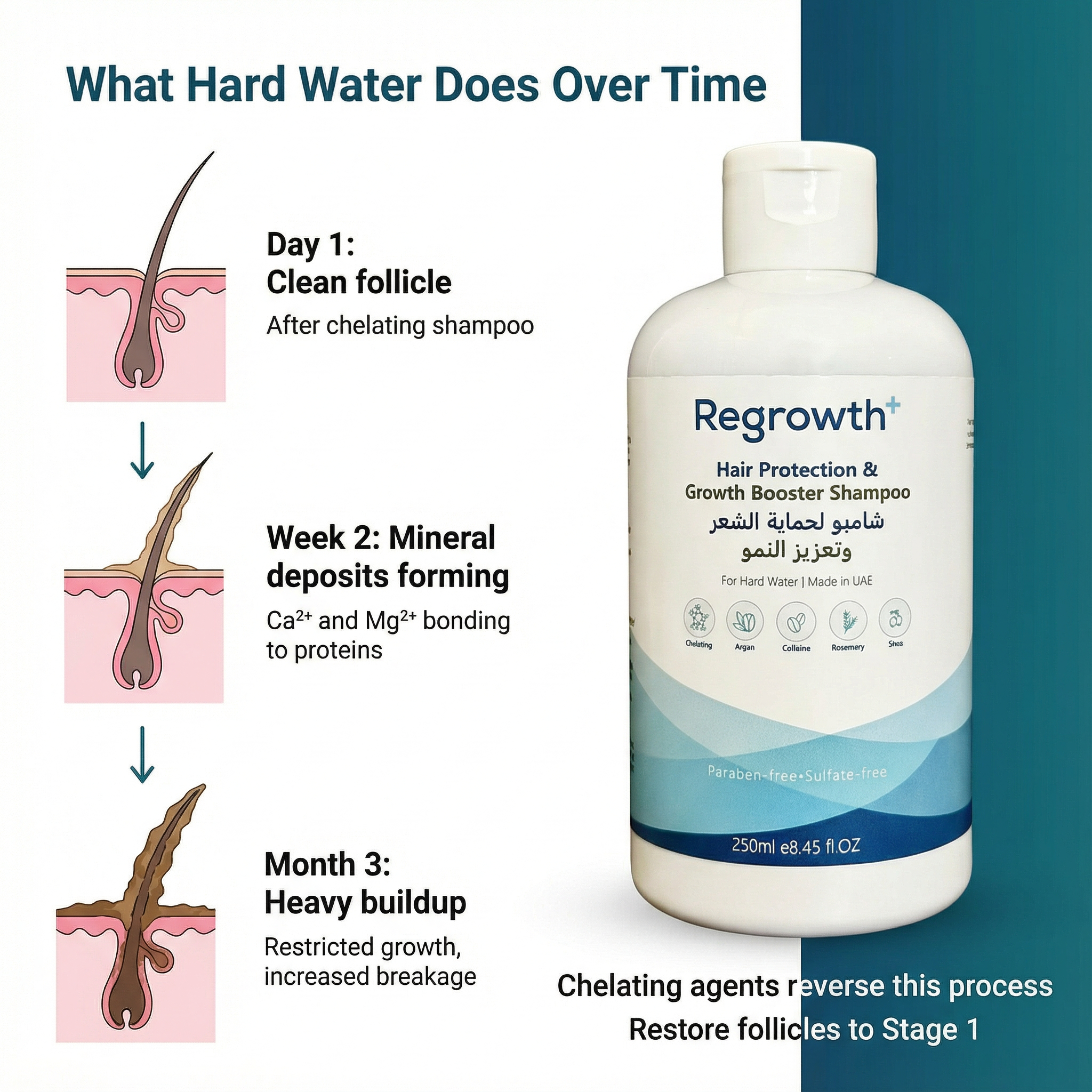Regrowth+ Facebook ad