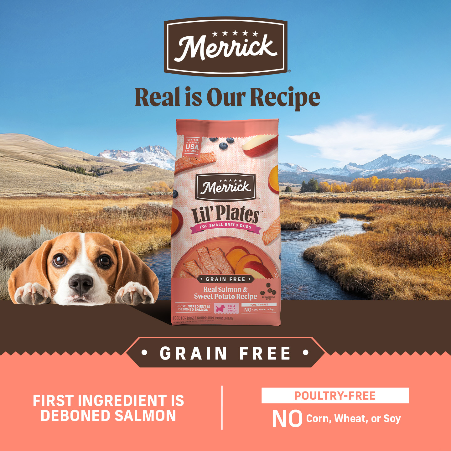 Merrick Pet Care Facebook ad: Crafted for small dogs, Merrick Lil’ Plates offers…