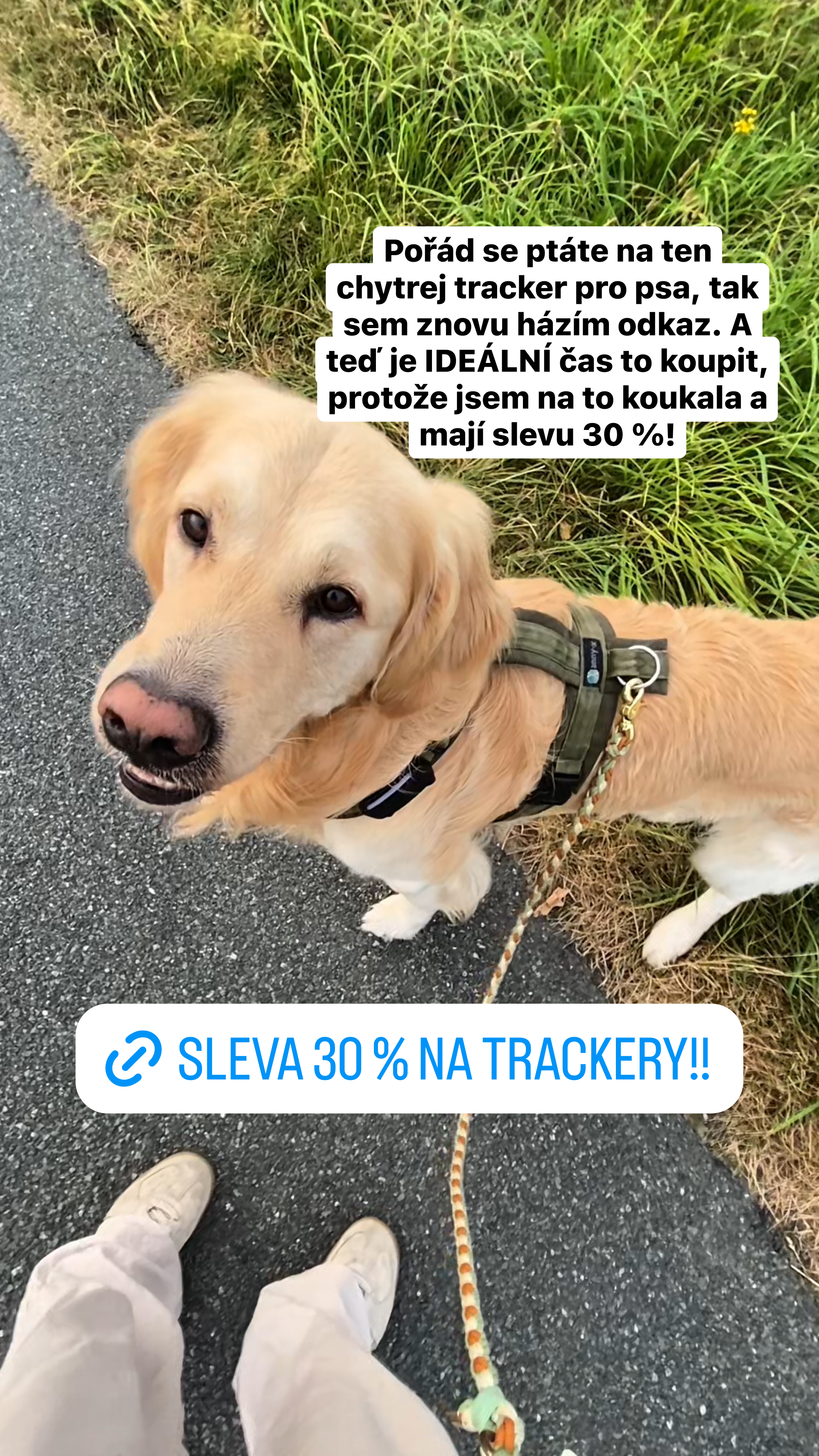 Tractive Facebook ad