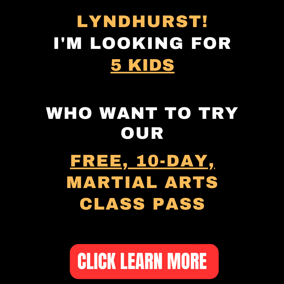 Lyndhurst Brazilian Jiu-Jitsu Facebook ad: Want a FREE 10-Day, Kids Martial Arts Class Pass?