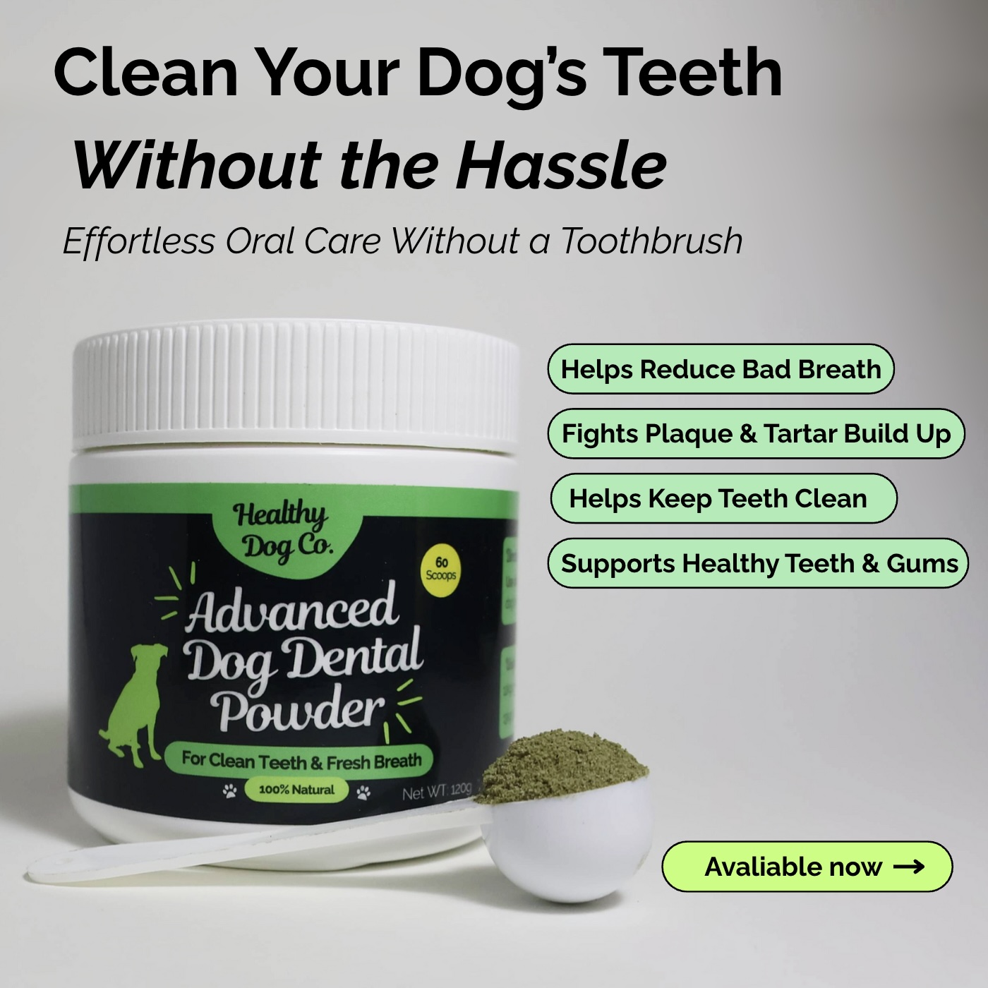 Healthy Dog Co Facebook ad: Shop Healthy Dog Co today!