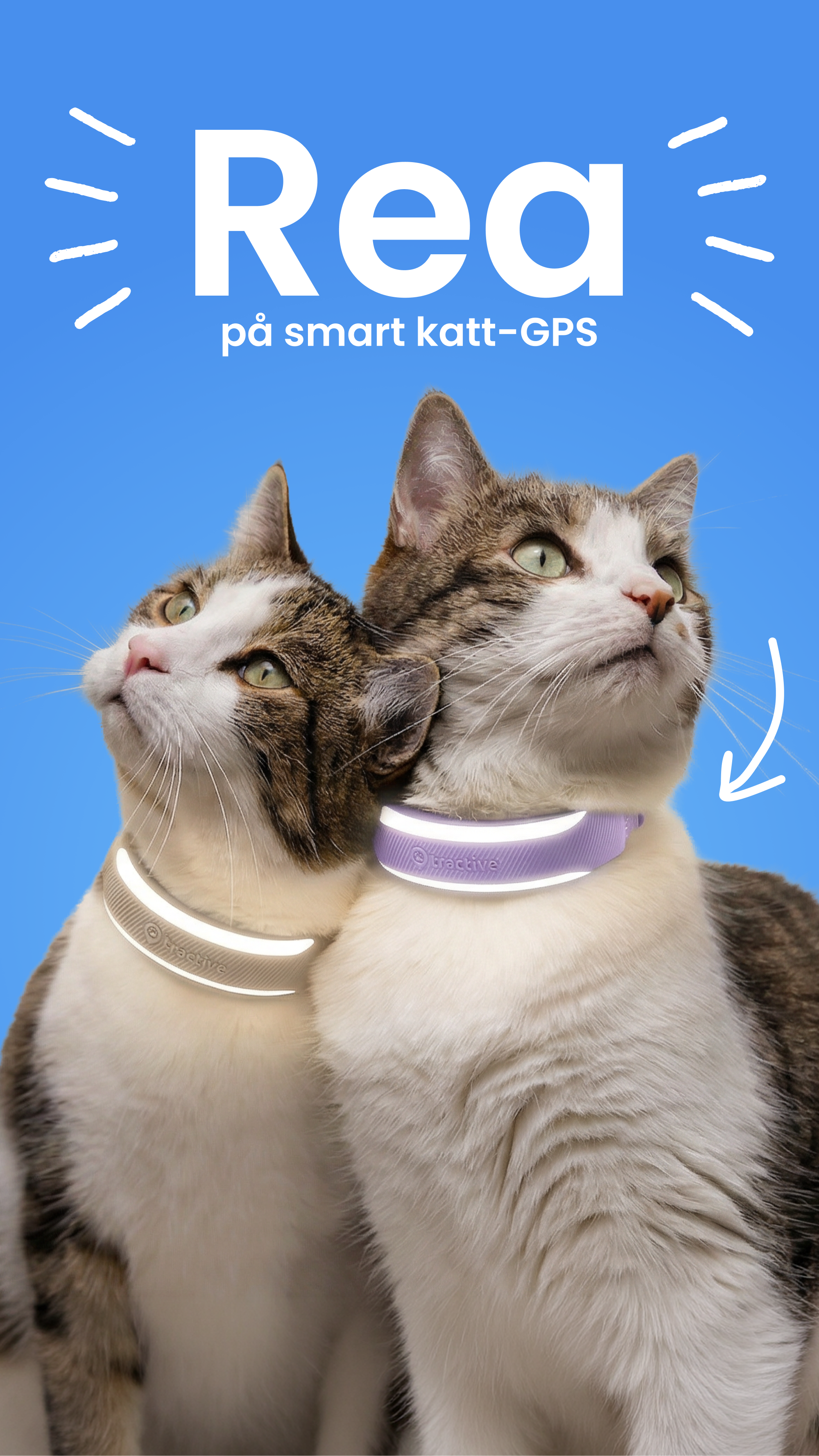 Tractive Facebook ad
